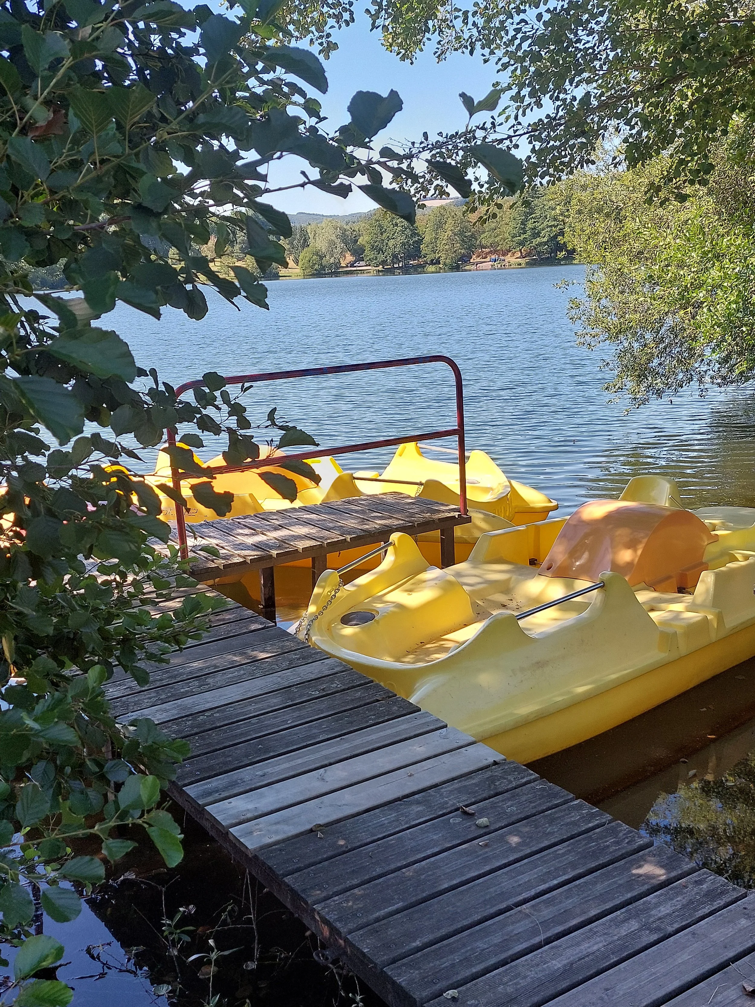 A wooden dock with a metal railing extends into a calm lake surrounded by trees. Yellow pedal boats are docked at the edge, partially visible among the greenery.