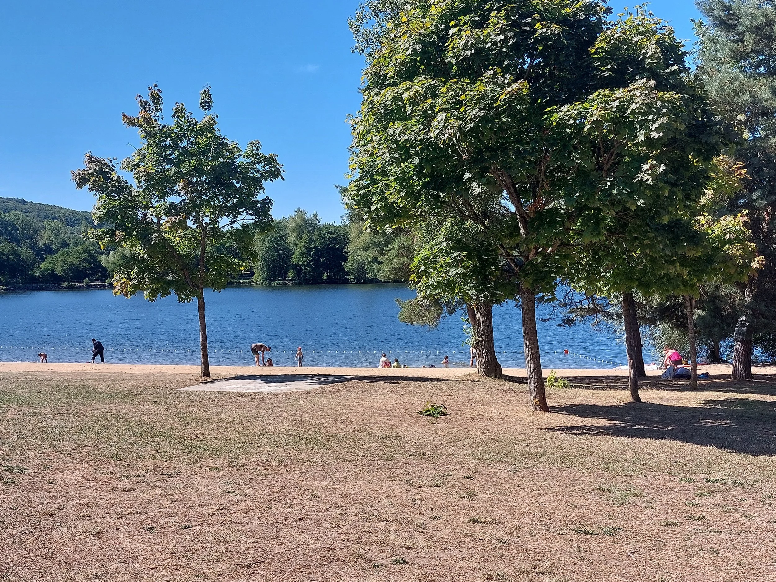 People enjoying a day at a lakeside park with trees, sandy beach, and calm blue water under a clear sky.