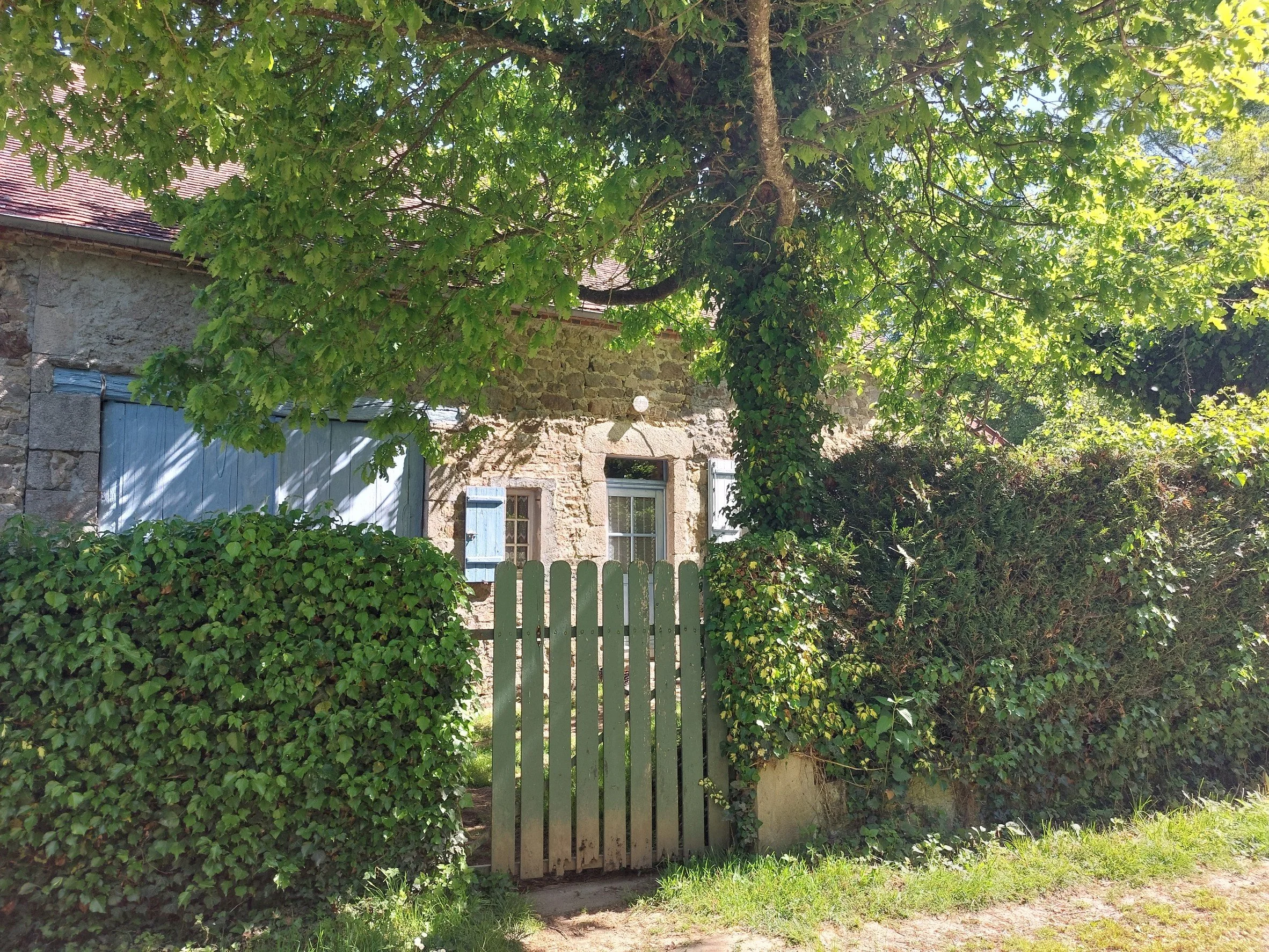 A stone house with a blue door and blue window shutters, surrounded by greenery, including a large tree, bushes, and a wooden gate.
