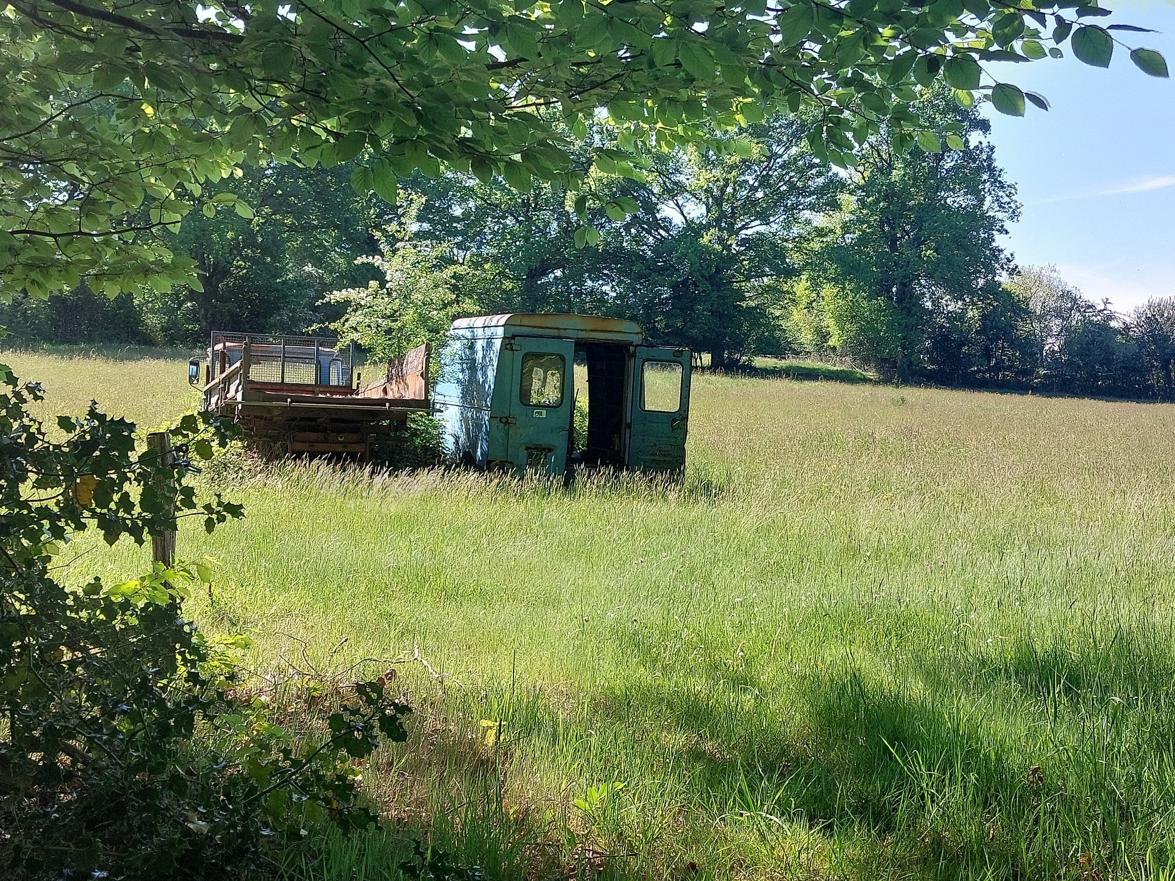 An old, rusty, teal-colored truck is abandoned in a green field with tall grass, partially shaded by overhanging trees.
