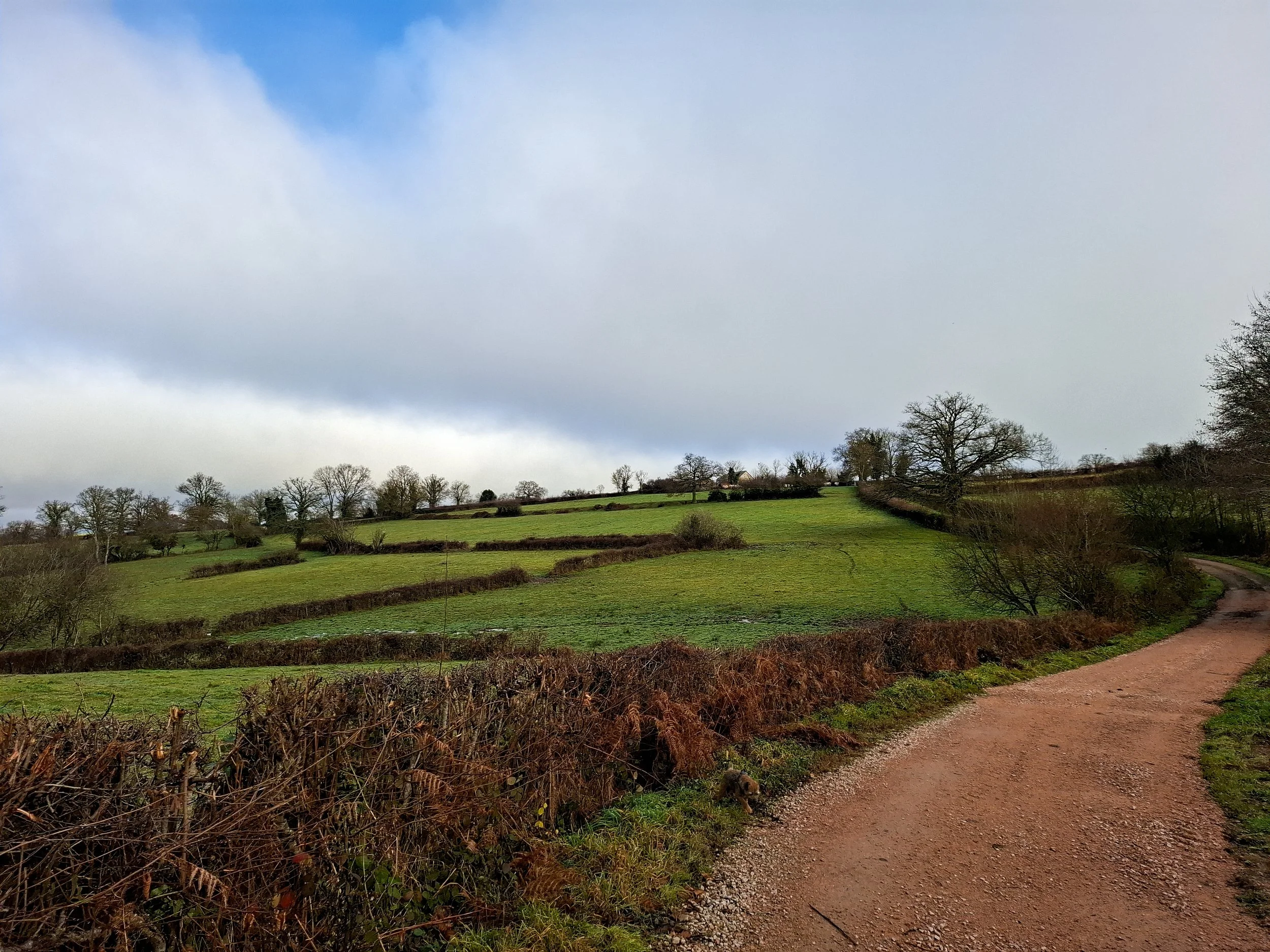 A winding dirt road going through green, hilly farmland with trees and shrubs. Overcast sky with patches of blue.