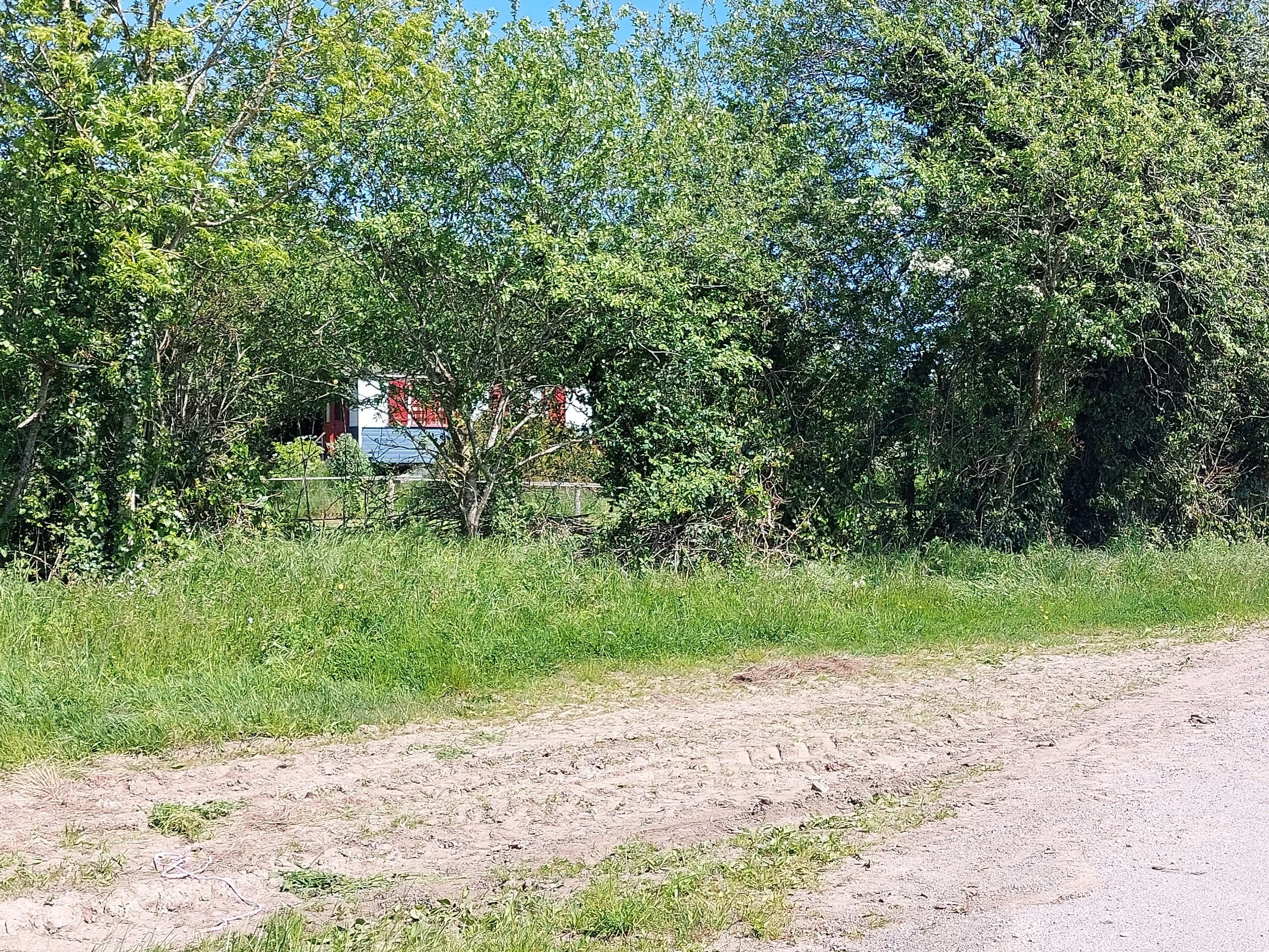 A grassy area with trees and a house in the background, partially visible through the foliage. The sky is clear and blue.