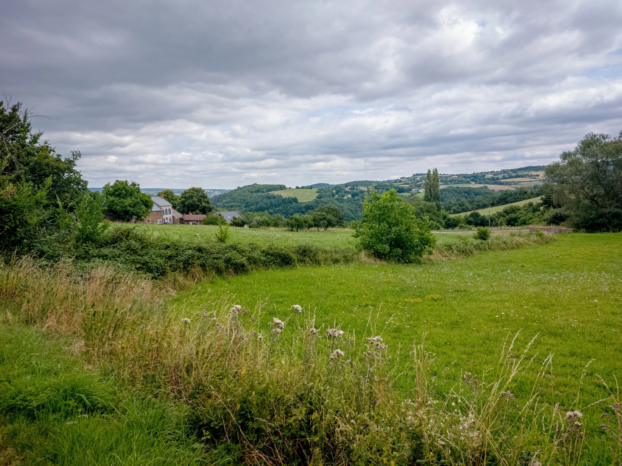 A rural landscape with green grass, bushes, trees, and a few houses in the distance under a cloudy sky.