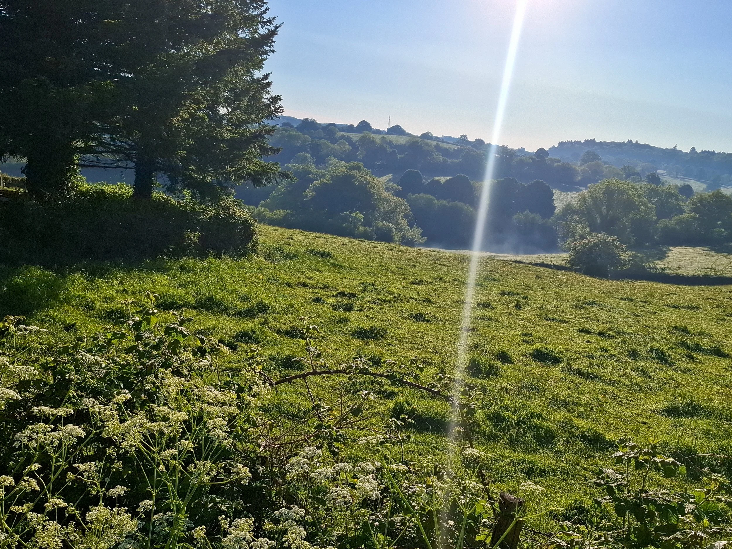 A scenic landscape of green grassy fields with trees and rolling hills in the distance, bright sun with a visible sunbeam, and a clear blue sky.