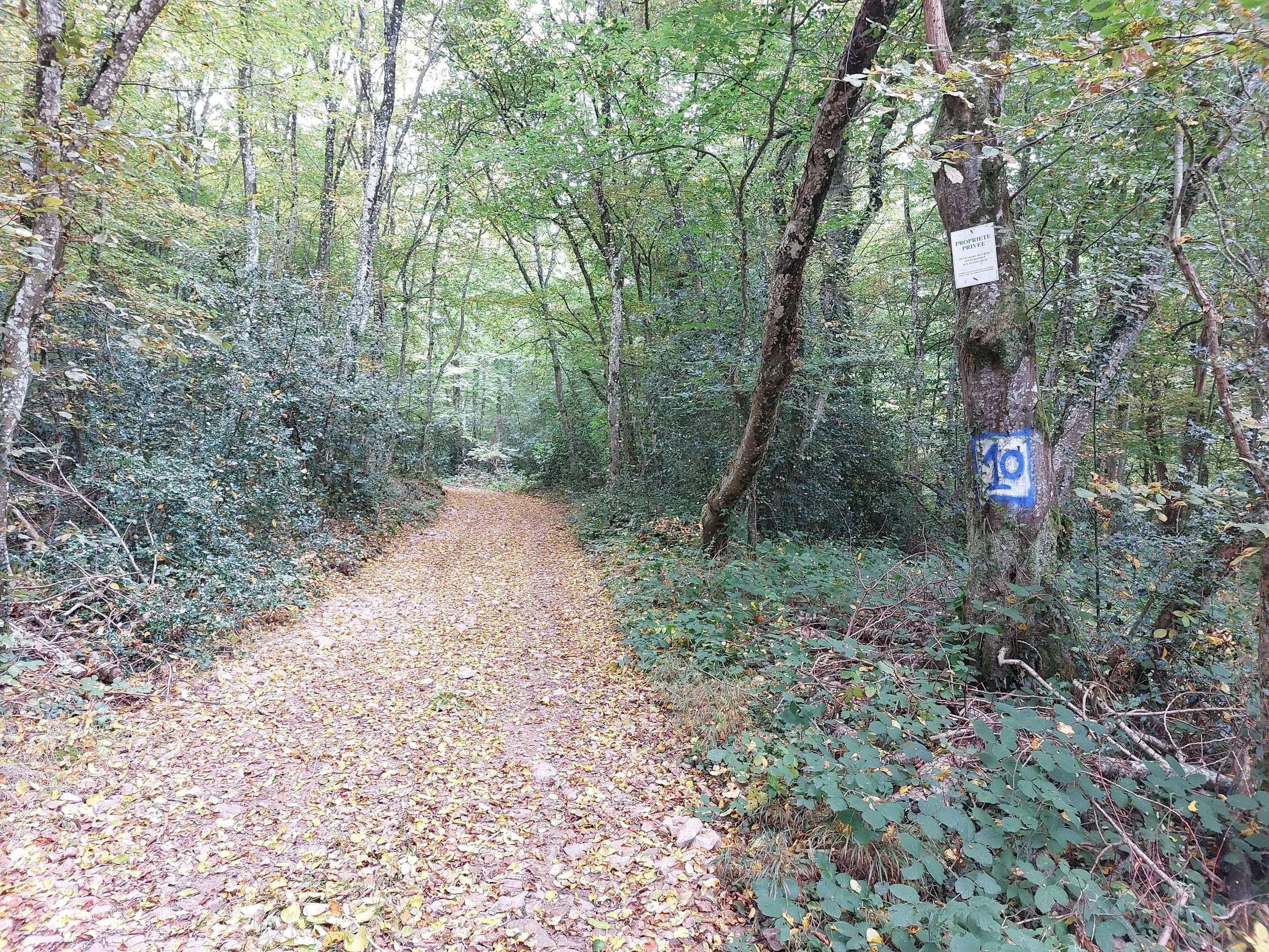 A wooded dirt pathway covered with fallen leaves, with trees and dense foliage on either side, and a sign on a tree reading 'Propriété Privée' and a painted blue number 10.
