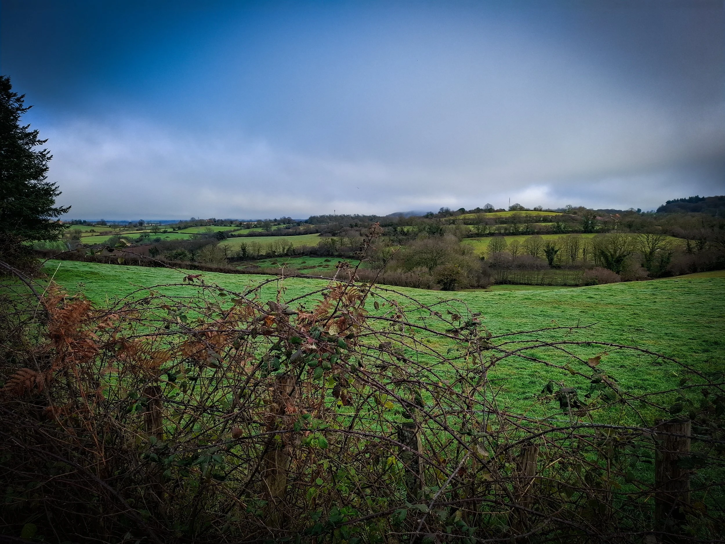 A scenic view of rolling green hills with a hedge in the foreground, under a cloudy sky.