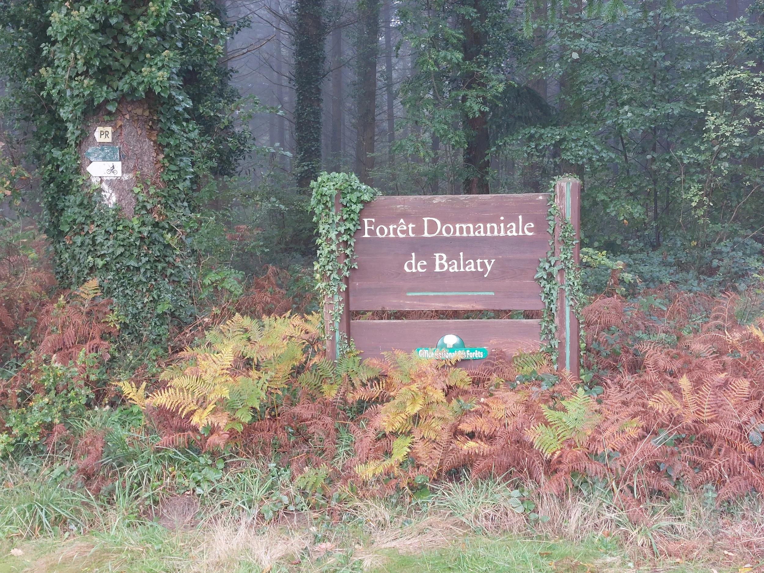 A wooden sign reads "Forêt Domaniale de Balaty" and is surrounded by foliage, with foggy forest trees in the background. A smaller sign on a tree to the left indicates a bicycle trail.