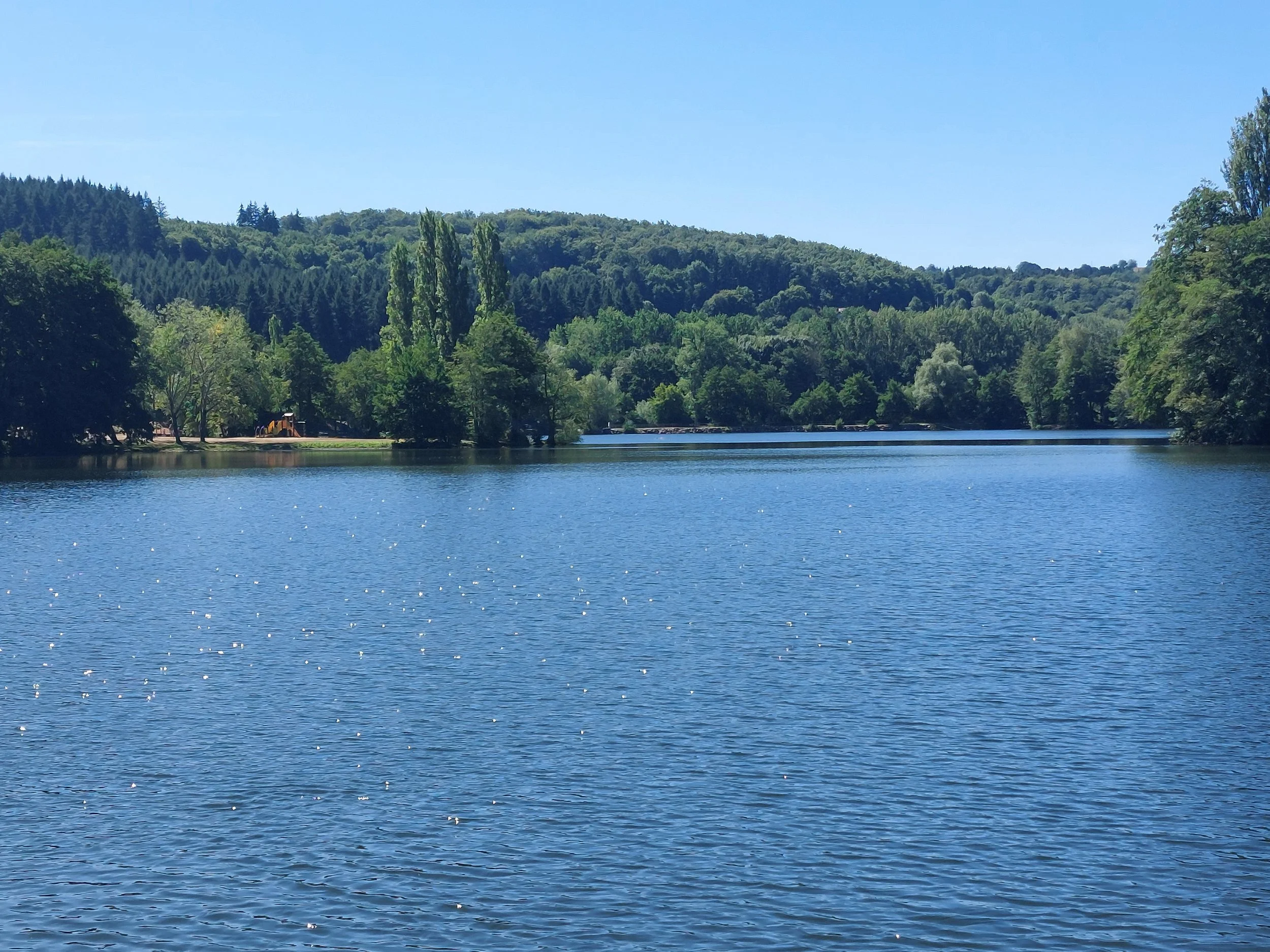 A peaceful lake surrounded by lush green trees and forested hills under a clear blue sky.