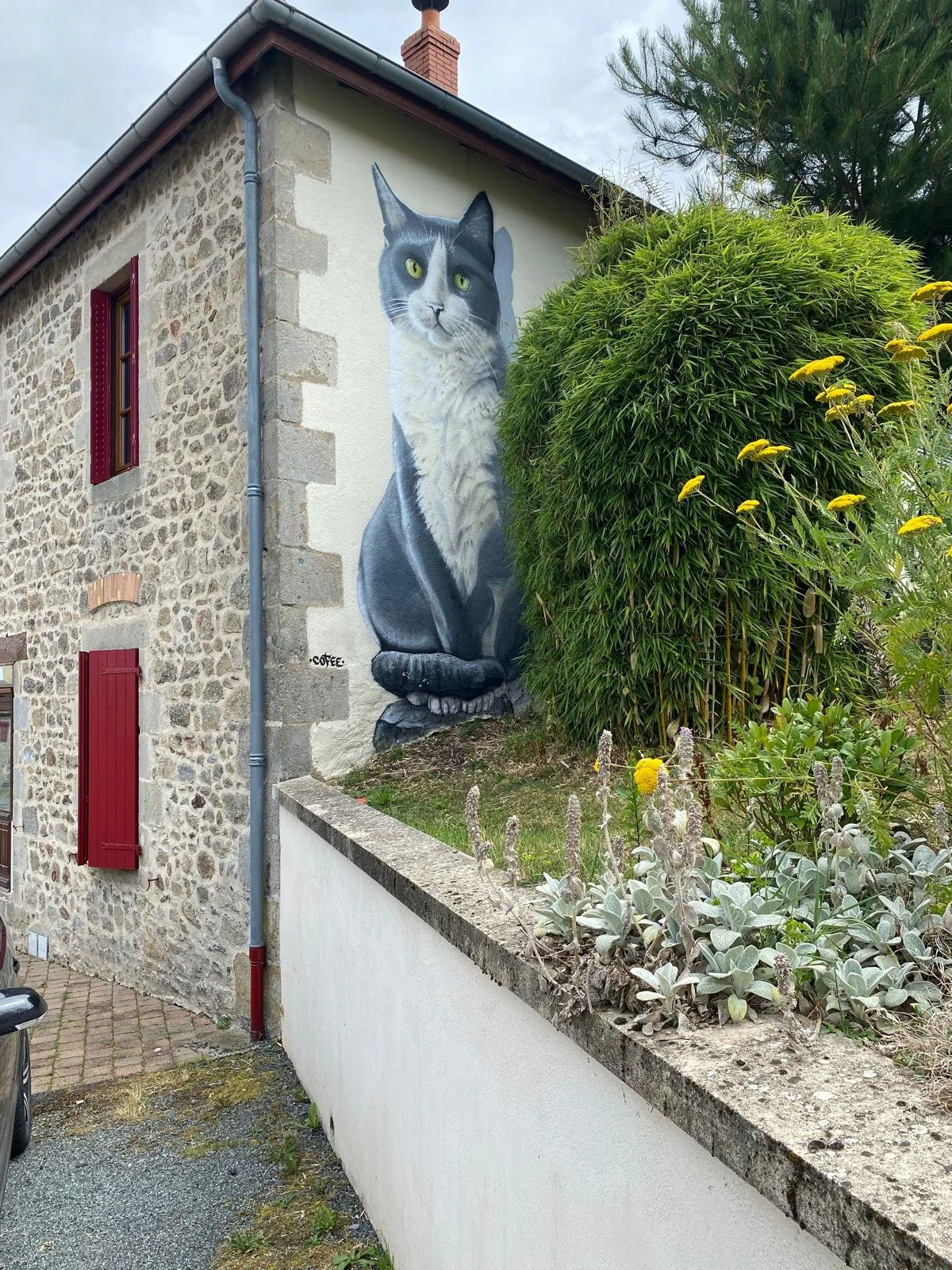 A mural of a realistic black and white cat with green eyes painted on the side of a stone building, partially obscured by a large bush and some smaller plants in front.