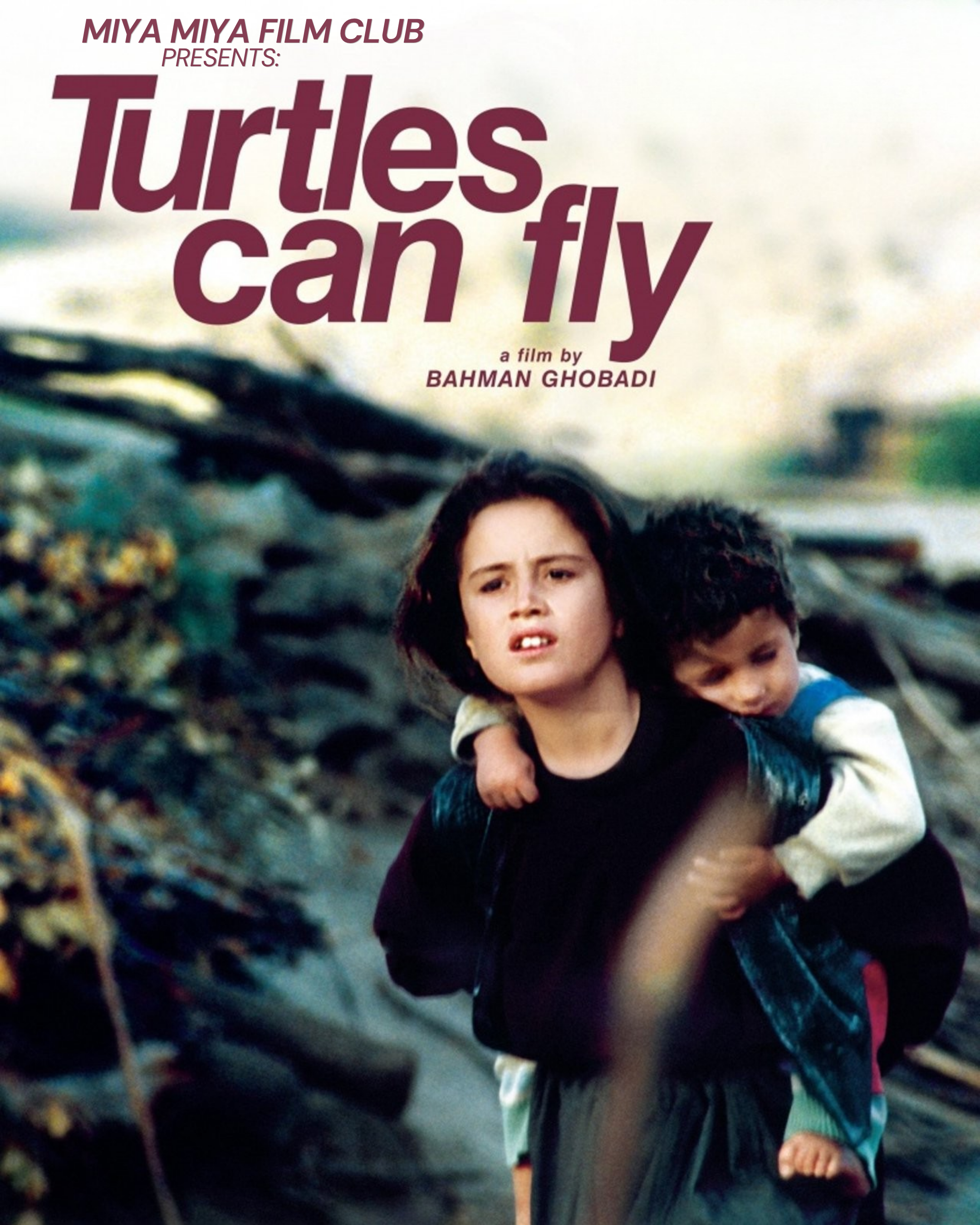 Turtles Can Fly