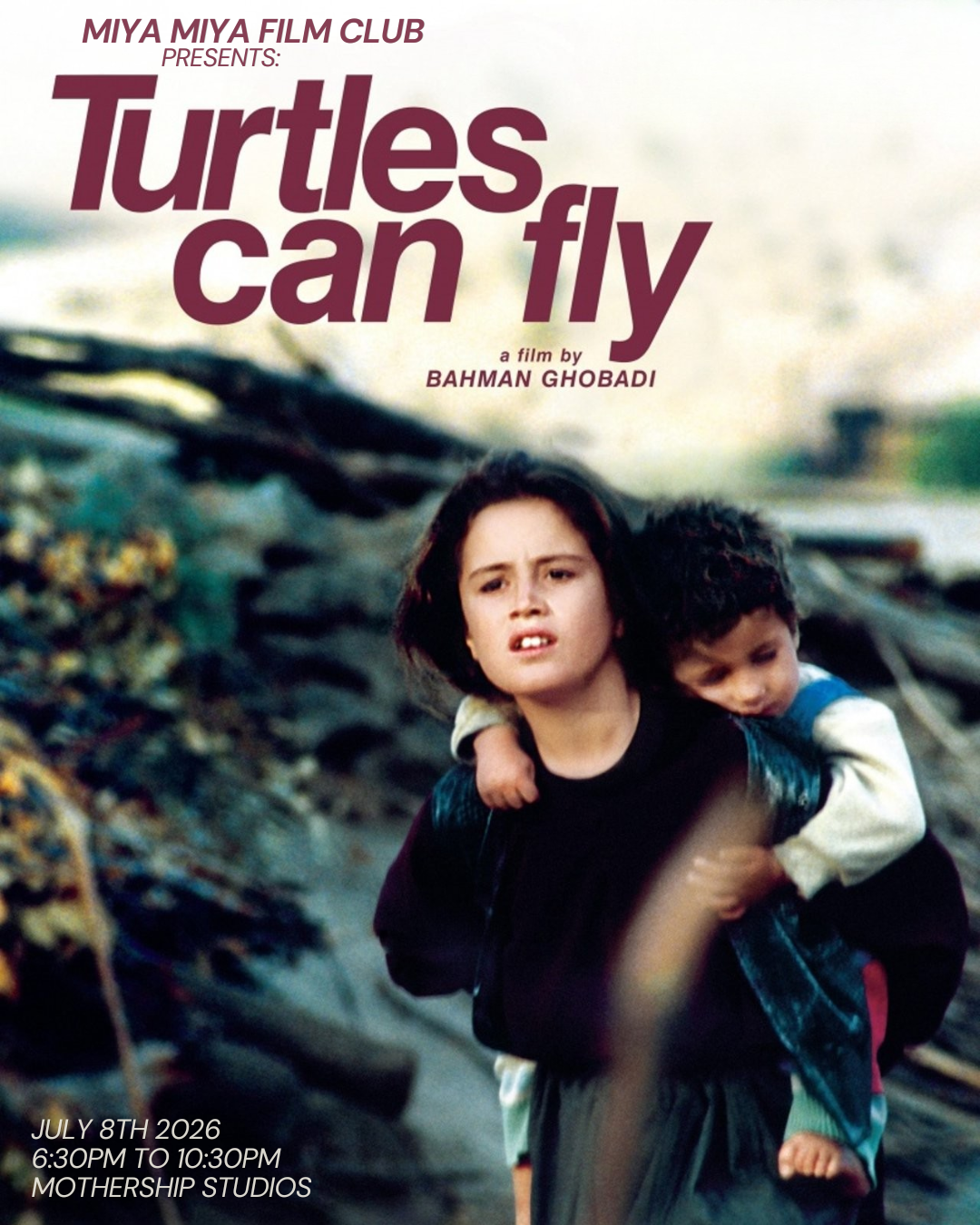 Turtles Can Fly