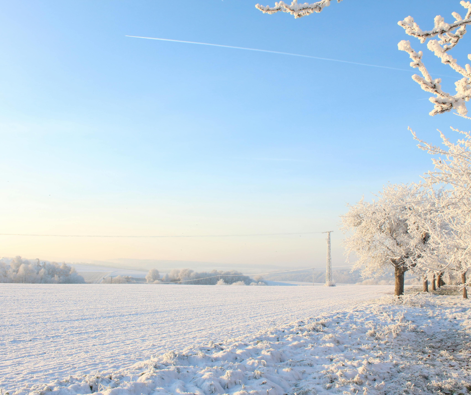Keeping Safe in the Snow and Ice