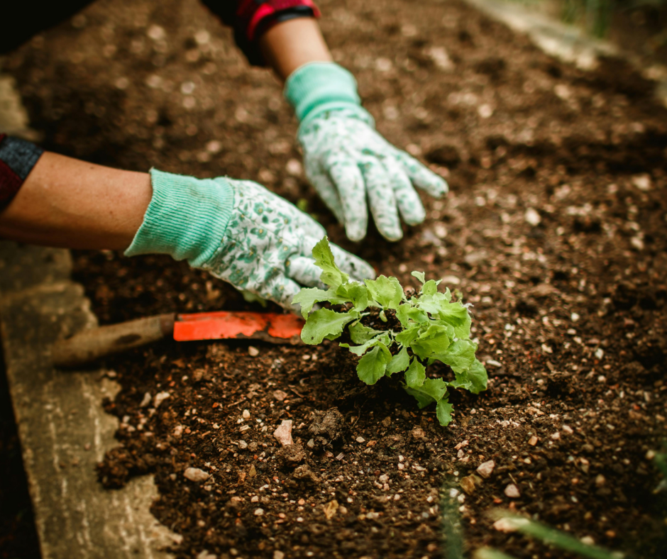How to Avoid Common Garden Injuries