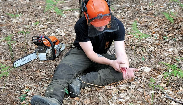 forestry.jpg