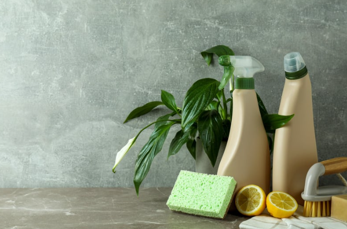 Cleaning supplies, including spray bottles, a sponge, a scrub brush, and lemon halves, arranged with a green leafy plant on a gray surface against a gray wall.
