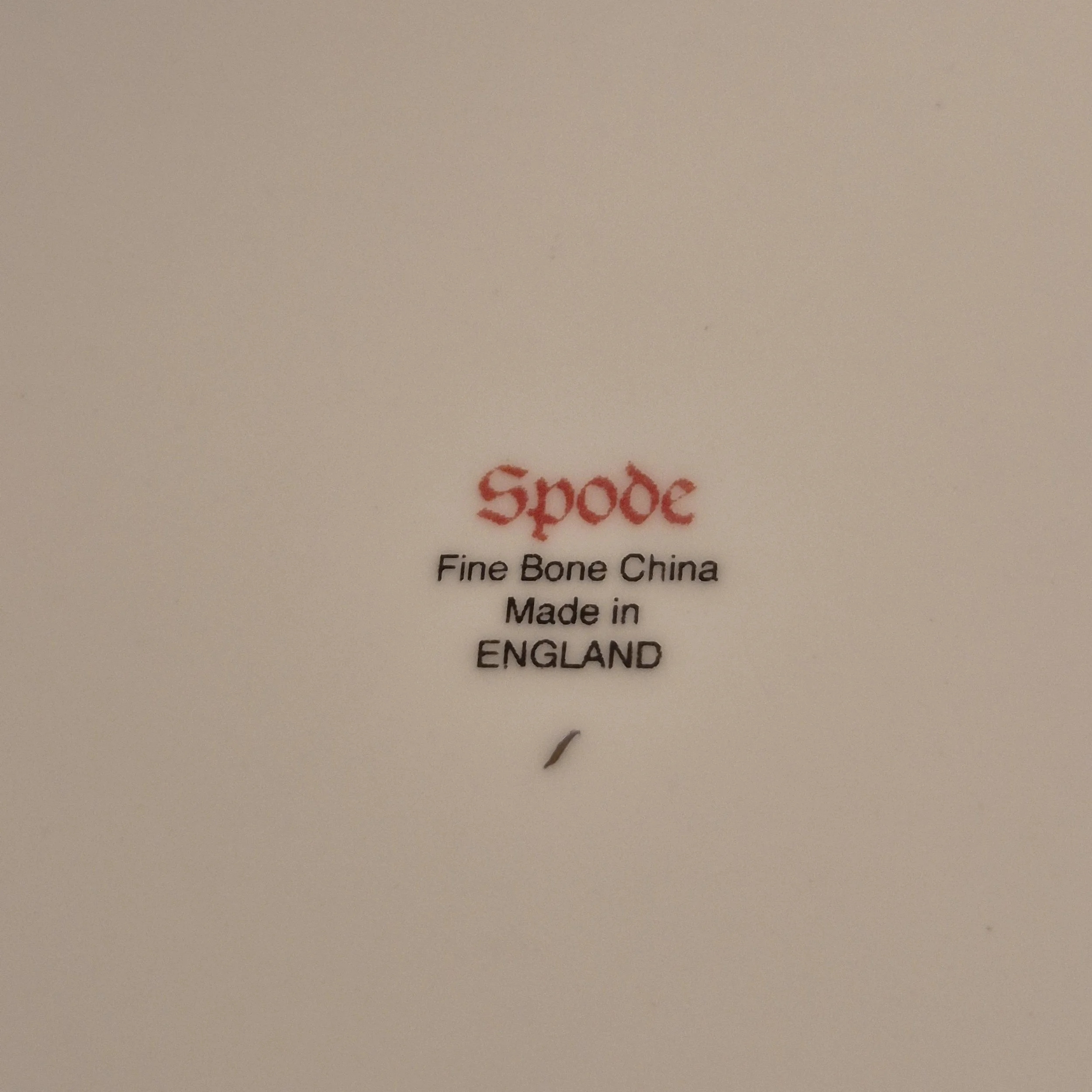 1000059361.jpg