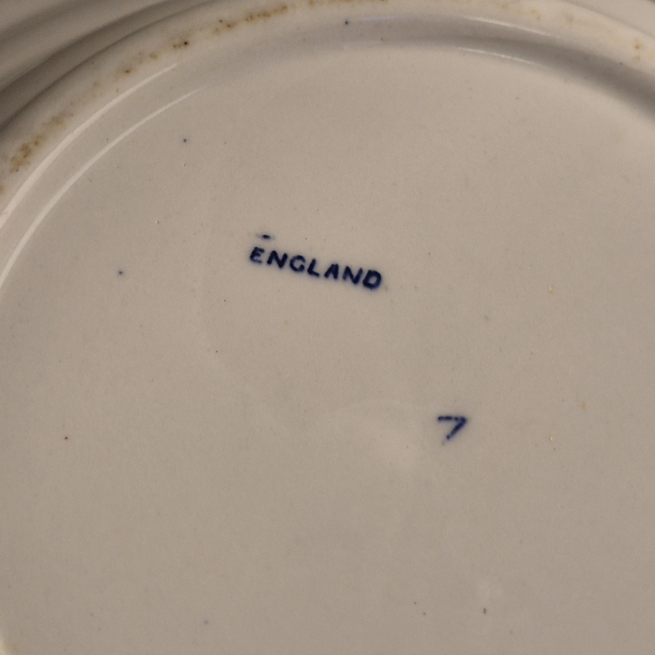 1000057986.jpg