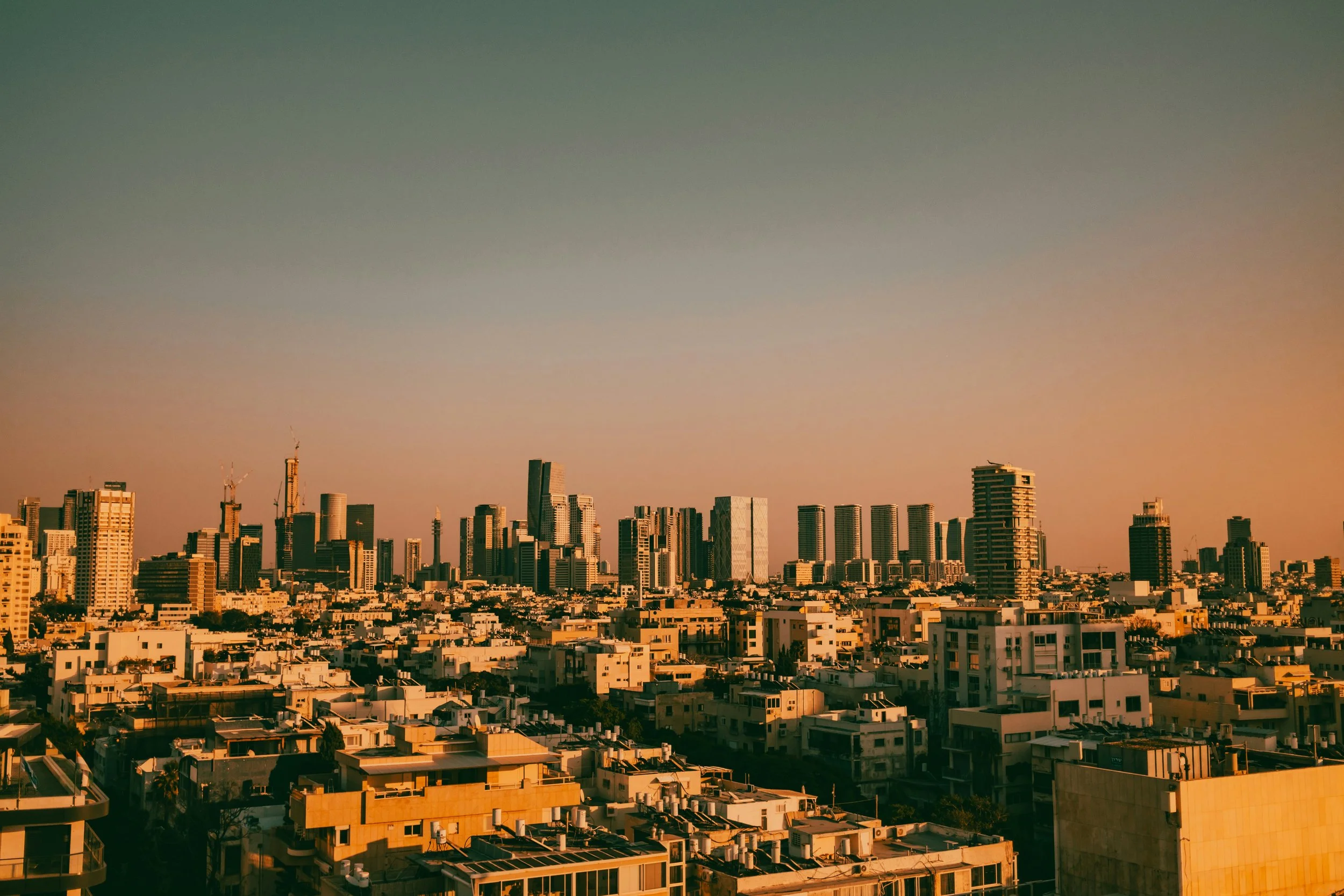 2025 Market Report: A Year of Repricing and Resilience