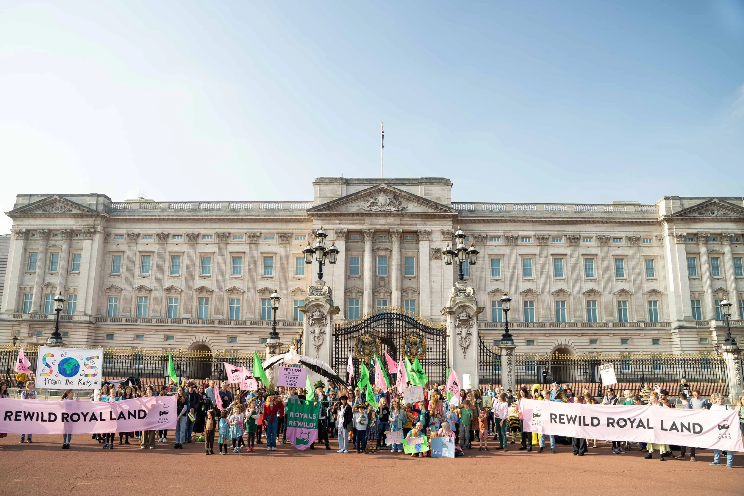 Rewild_Royal_Land-(Rowan Farrell)-7.jpg
