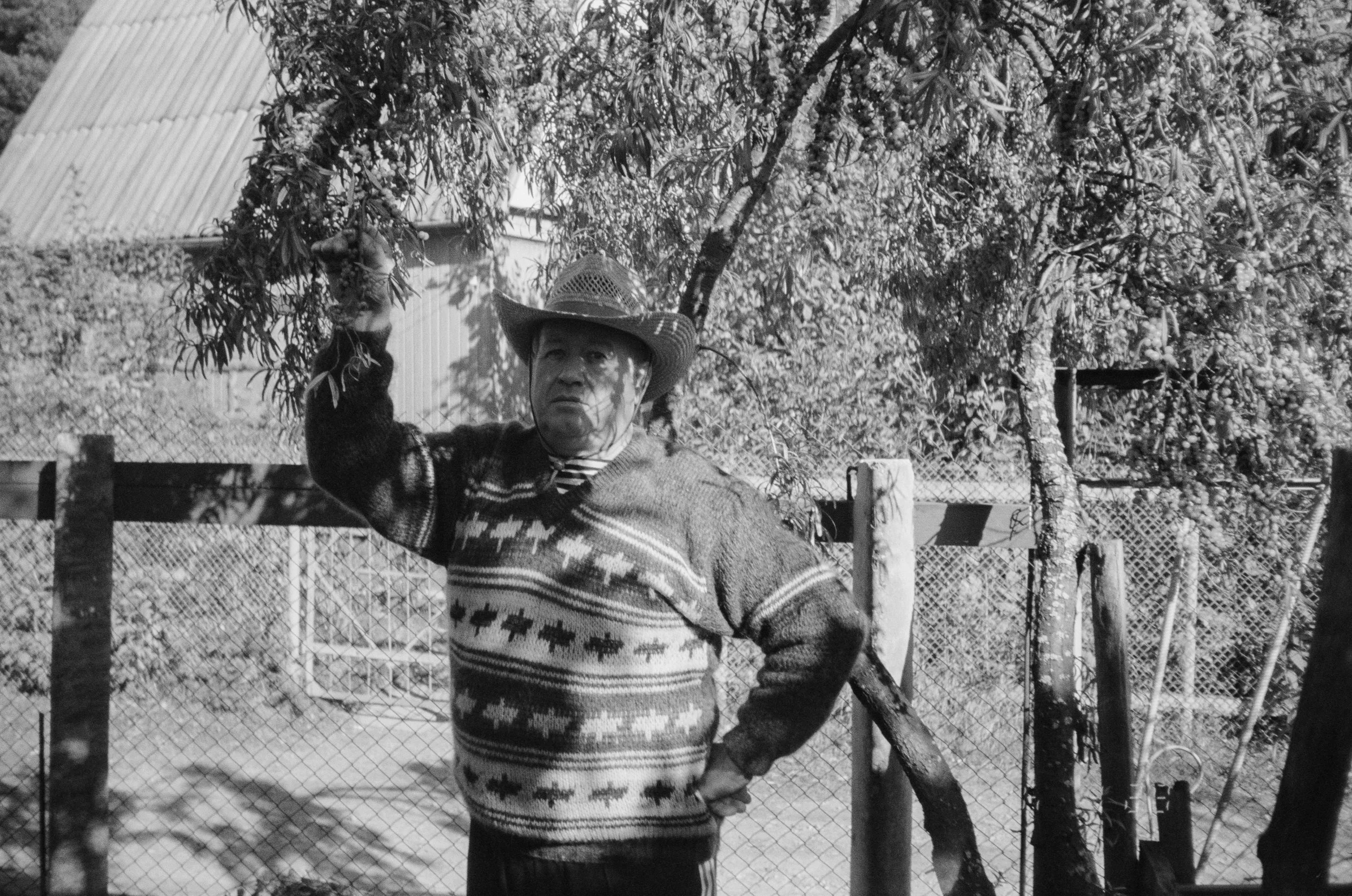 Serafimova_Elena_2.jpg