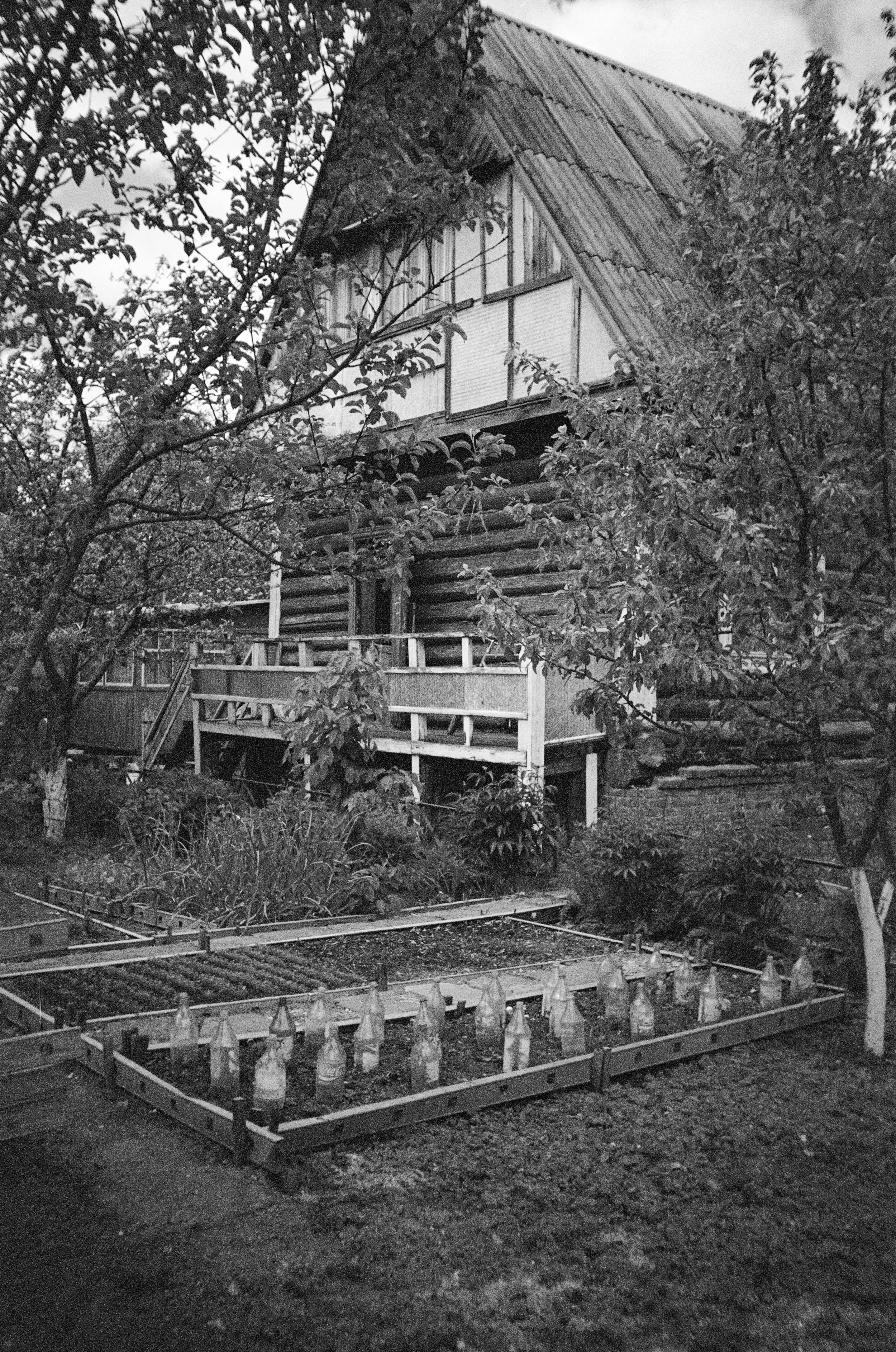 Serafimova_Elena_7.jpg