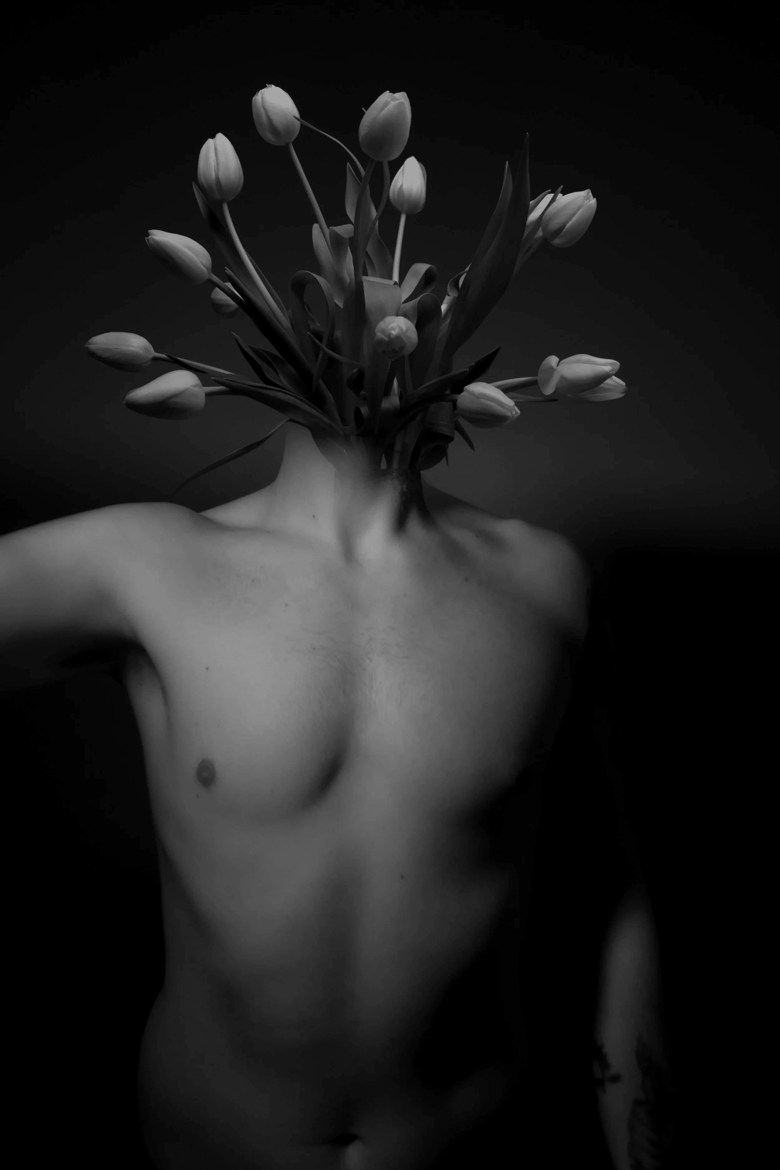 𝕲𝖗𝖆𝖉𝖎𝖊𝖓𝖙 𝕷𝖔𝖘𝖘 05 May 2025 23.08.jpg