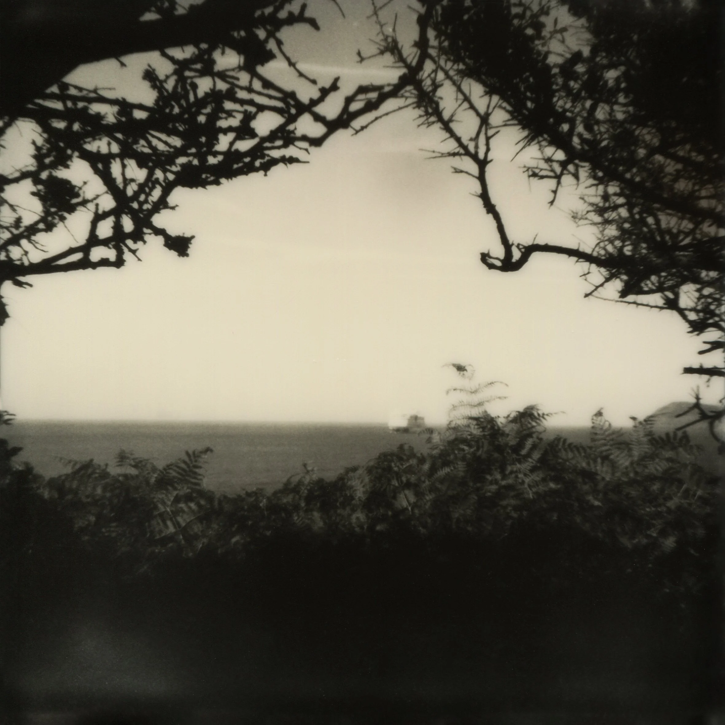 Tianhe Zhang-The Misty Isles 3.jpg