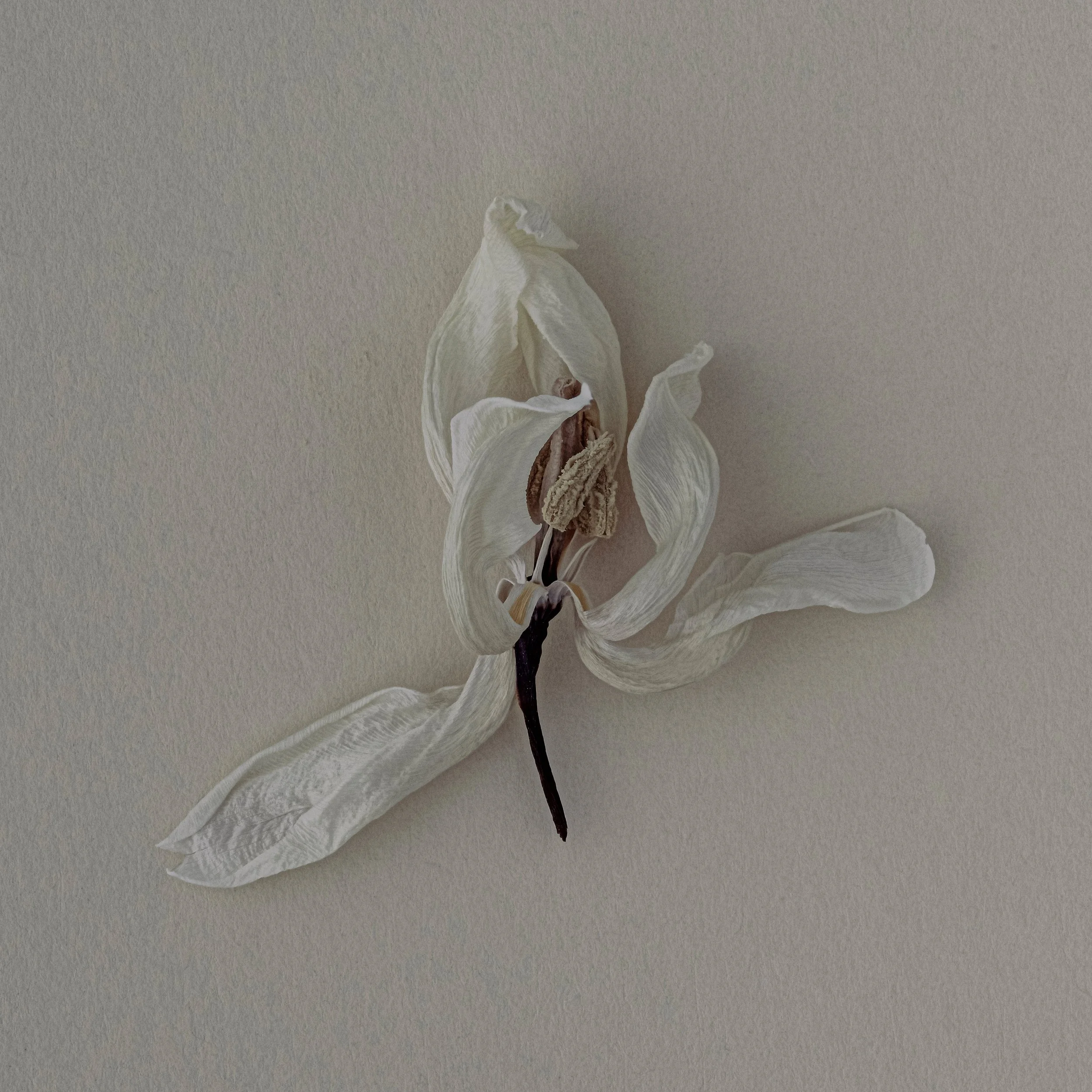 'Gymnastic'  
I drop a knife. Picking it up requires a sweeping, dramatic dance — purely to avoid falling over. Moments later, a tomato half hits the floor. Then the knife again. I’ll wait for the other half of the tomato — oh wait, now there goes a 