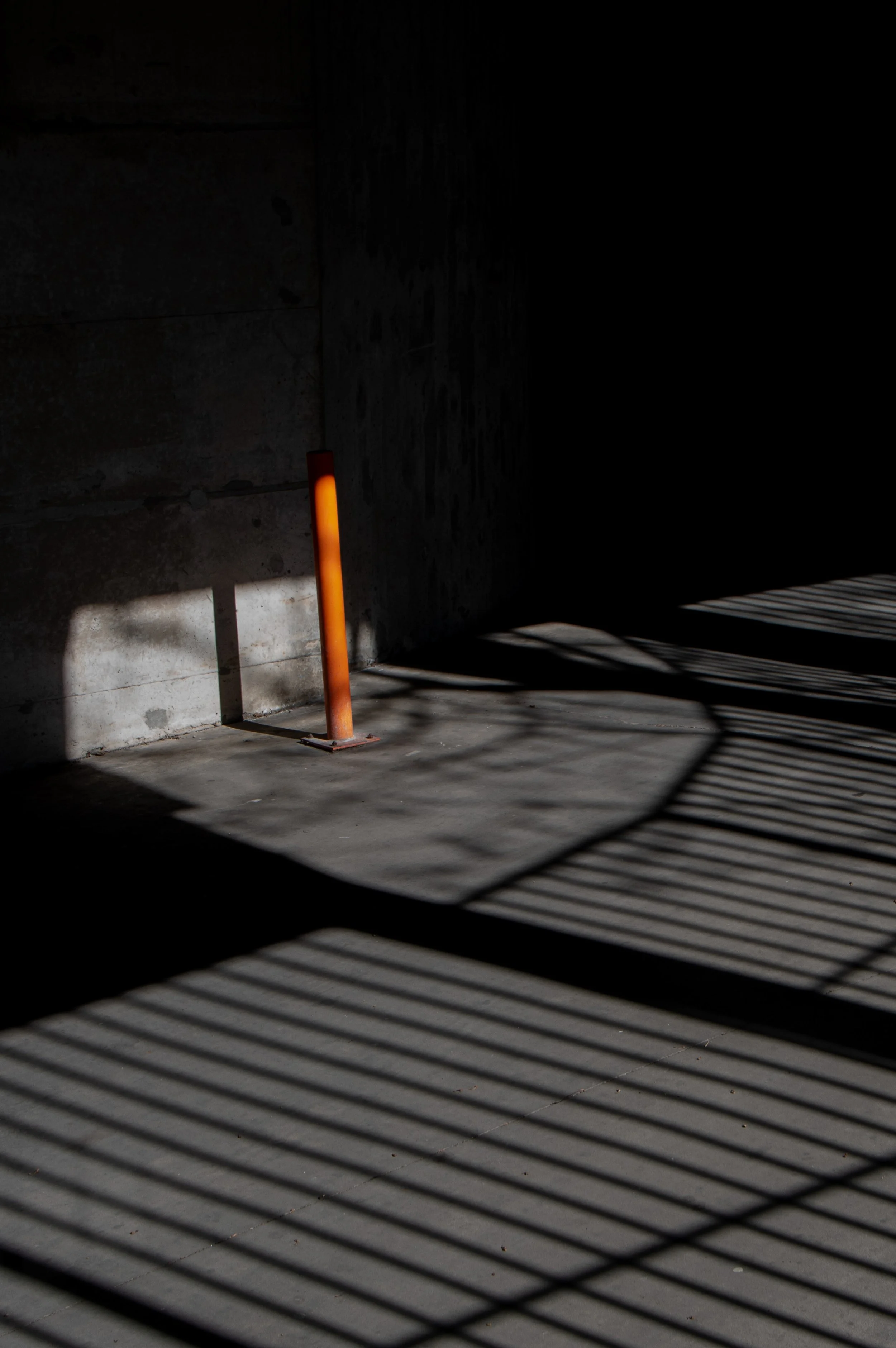 Color Point_ (2).jpg