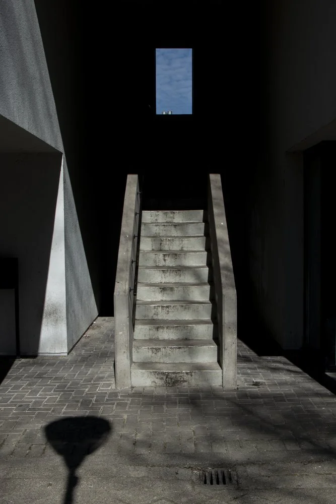 Color Point_ (4).jpg