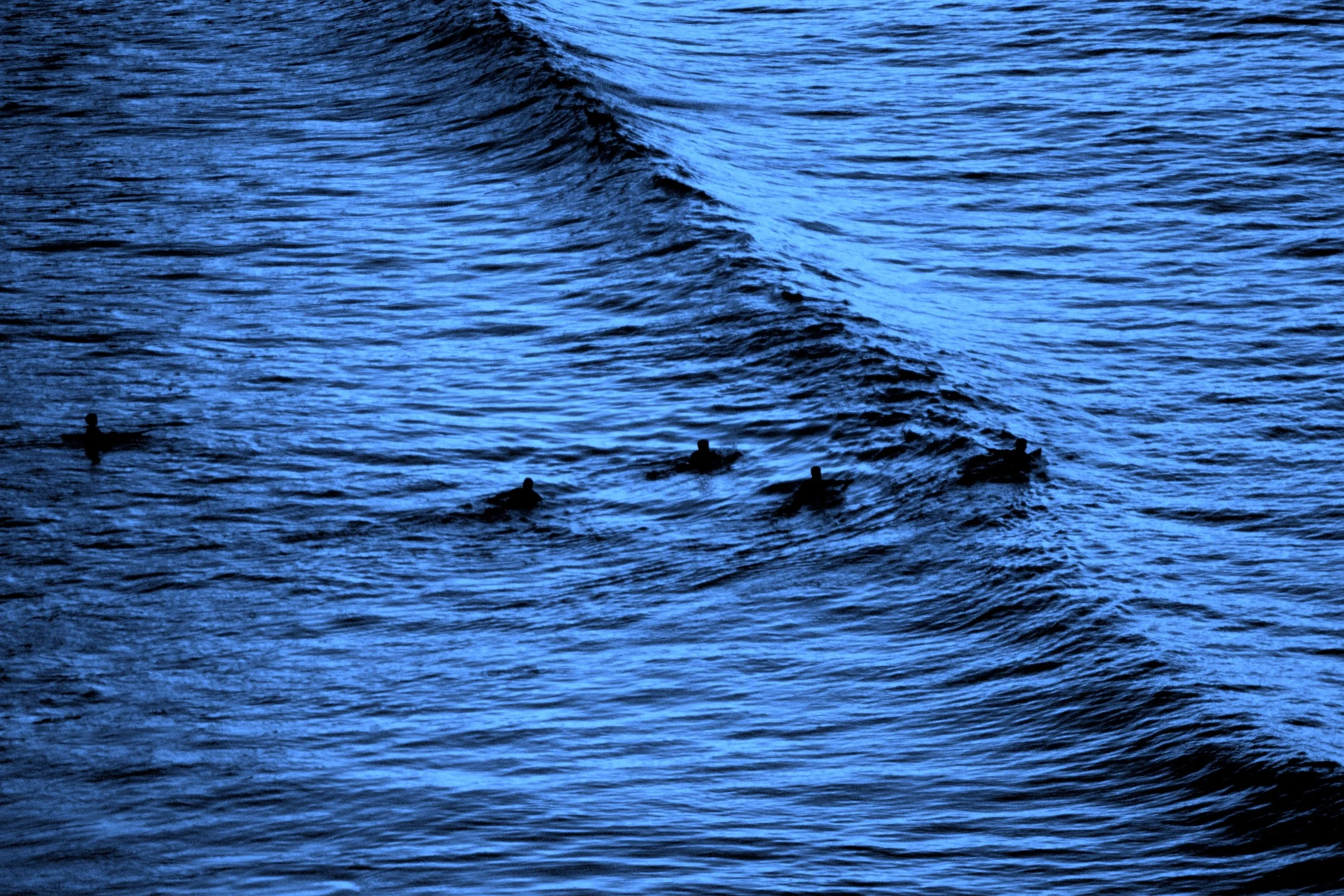 IMG_0928 copy (1).JPG