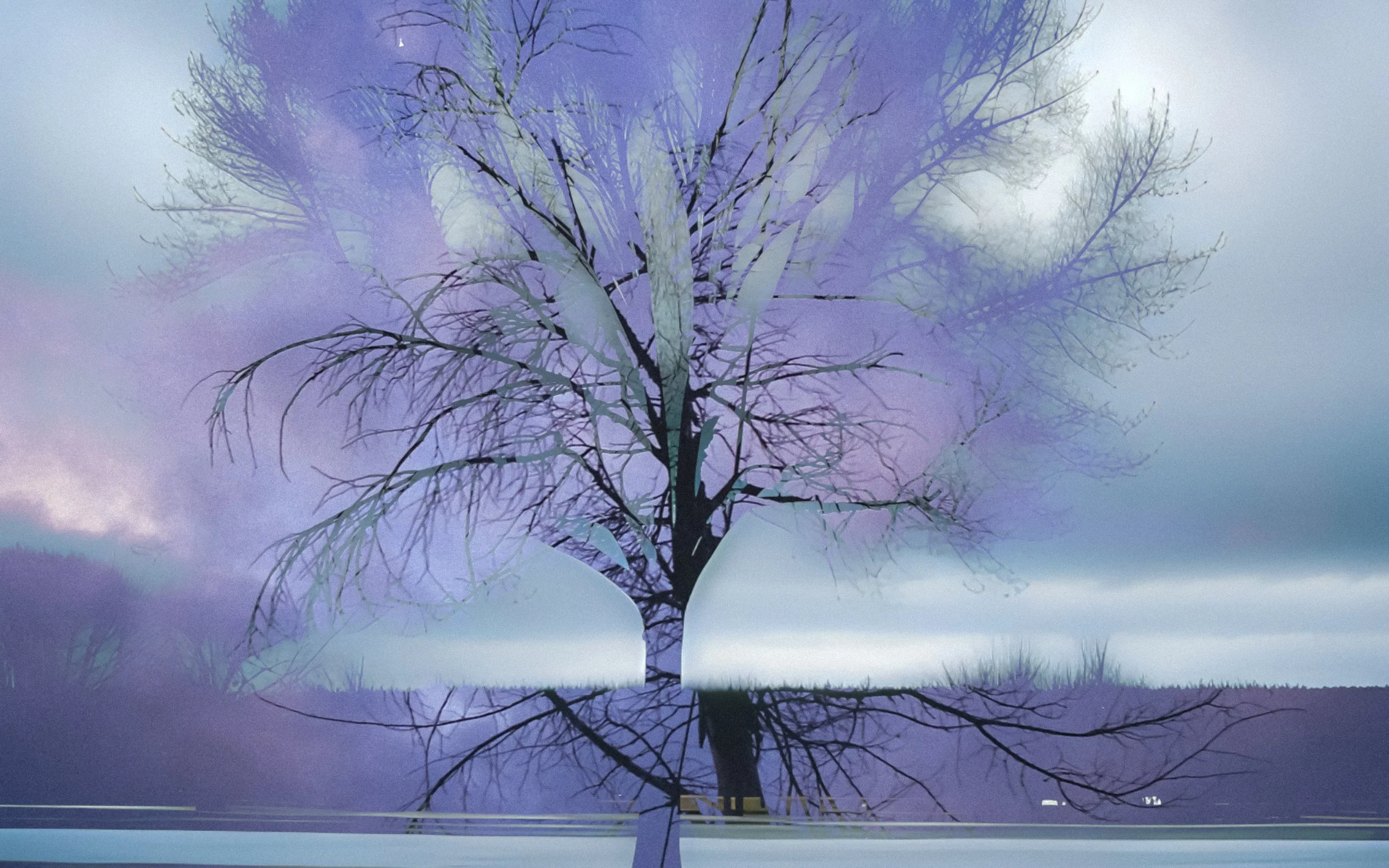 a bare tree in front of a cloudy sky.jpg