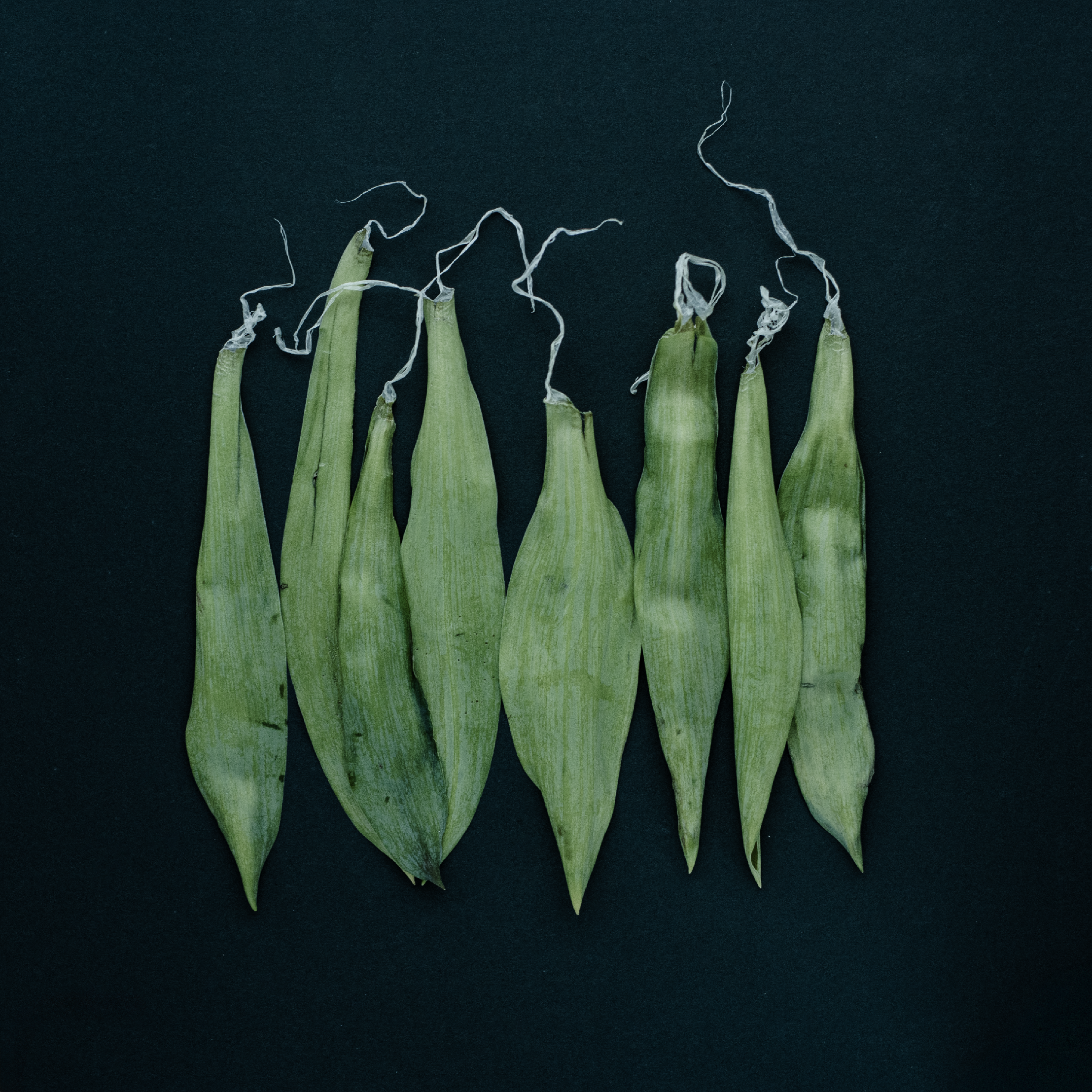 'Girls Are Going Out'  
This is basically how my perimenopausal friends and I look: a little
disheveled, a little bruised, a little headless, but here we go…