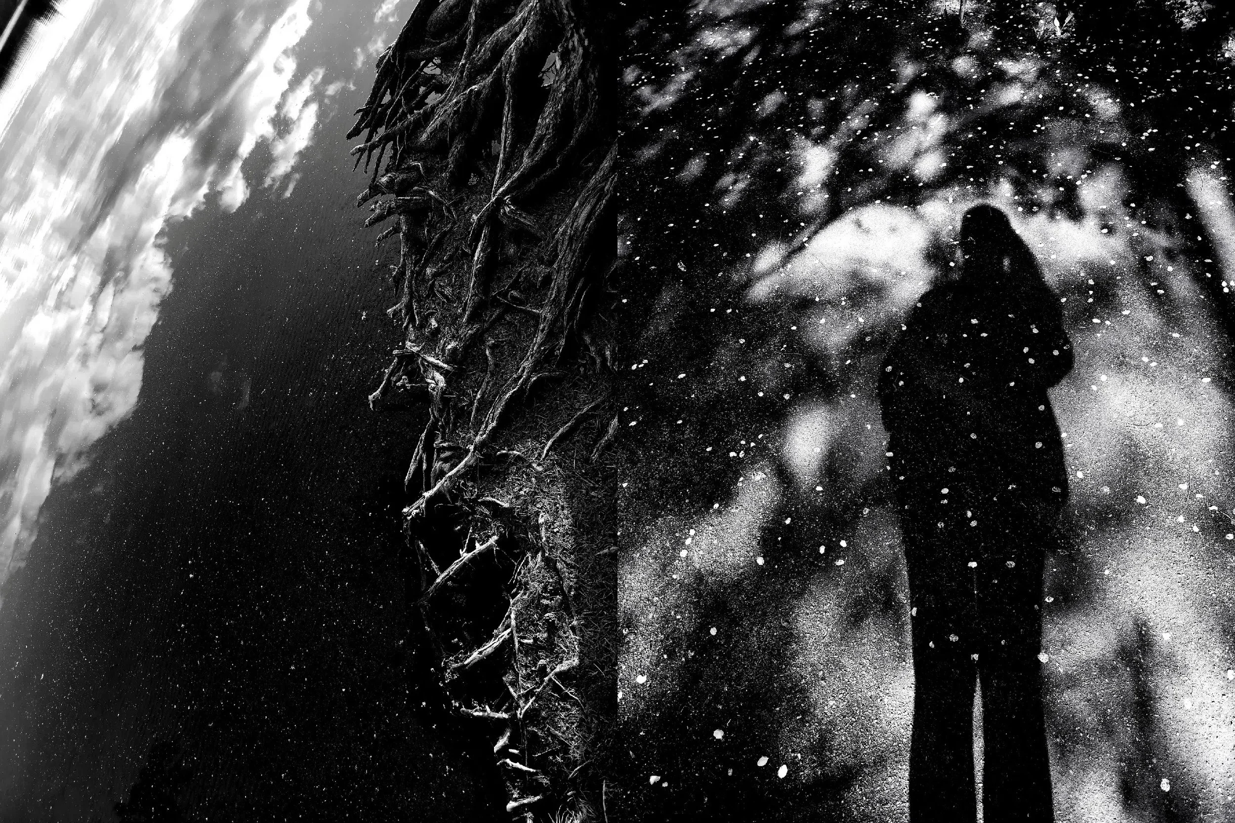 'Shadows of memories'