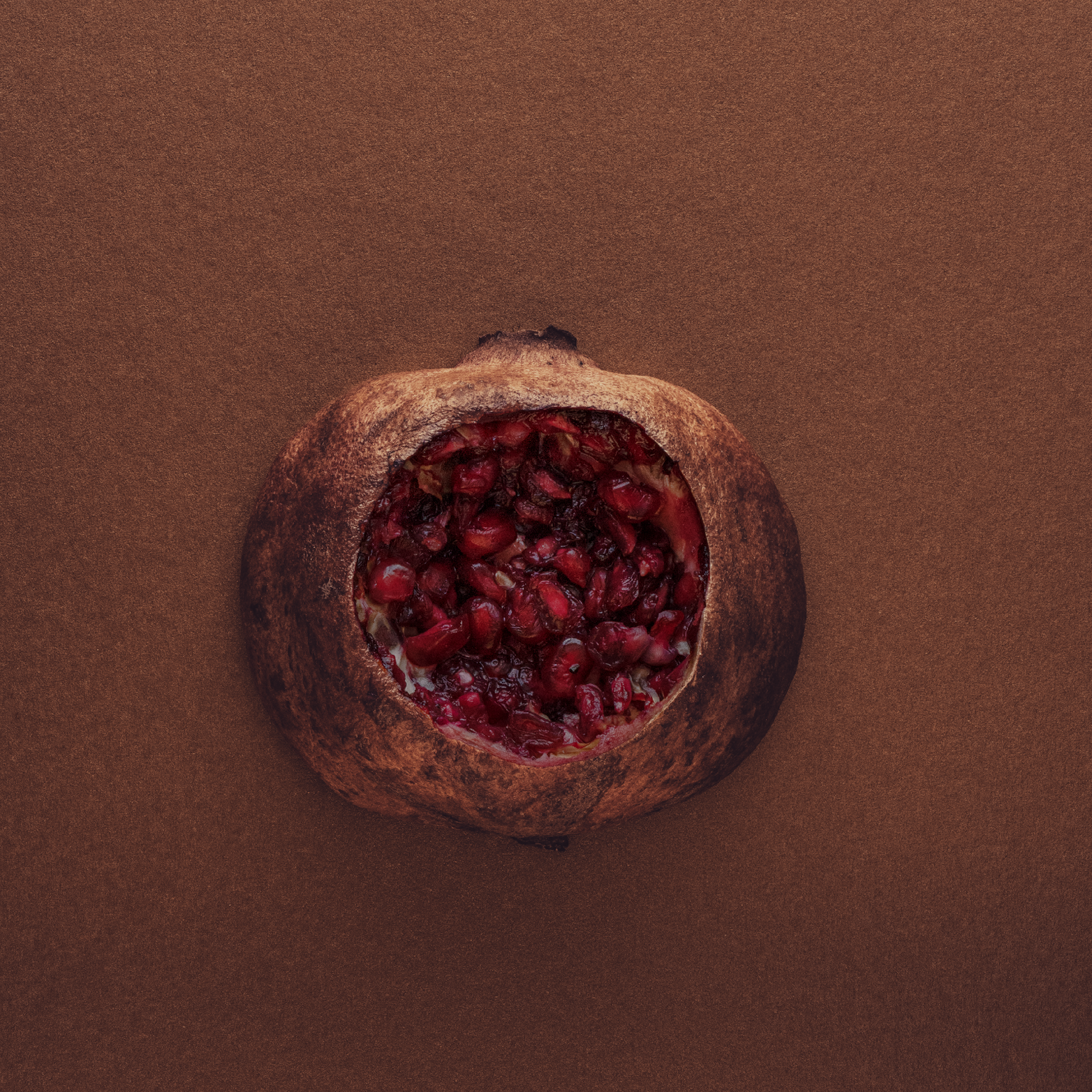 'My Brain Has Also Been Eaten Away'  
I look at the crossword, a picture, a mirror: I know that I know, but I
cannot get it out of my head.
