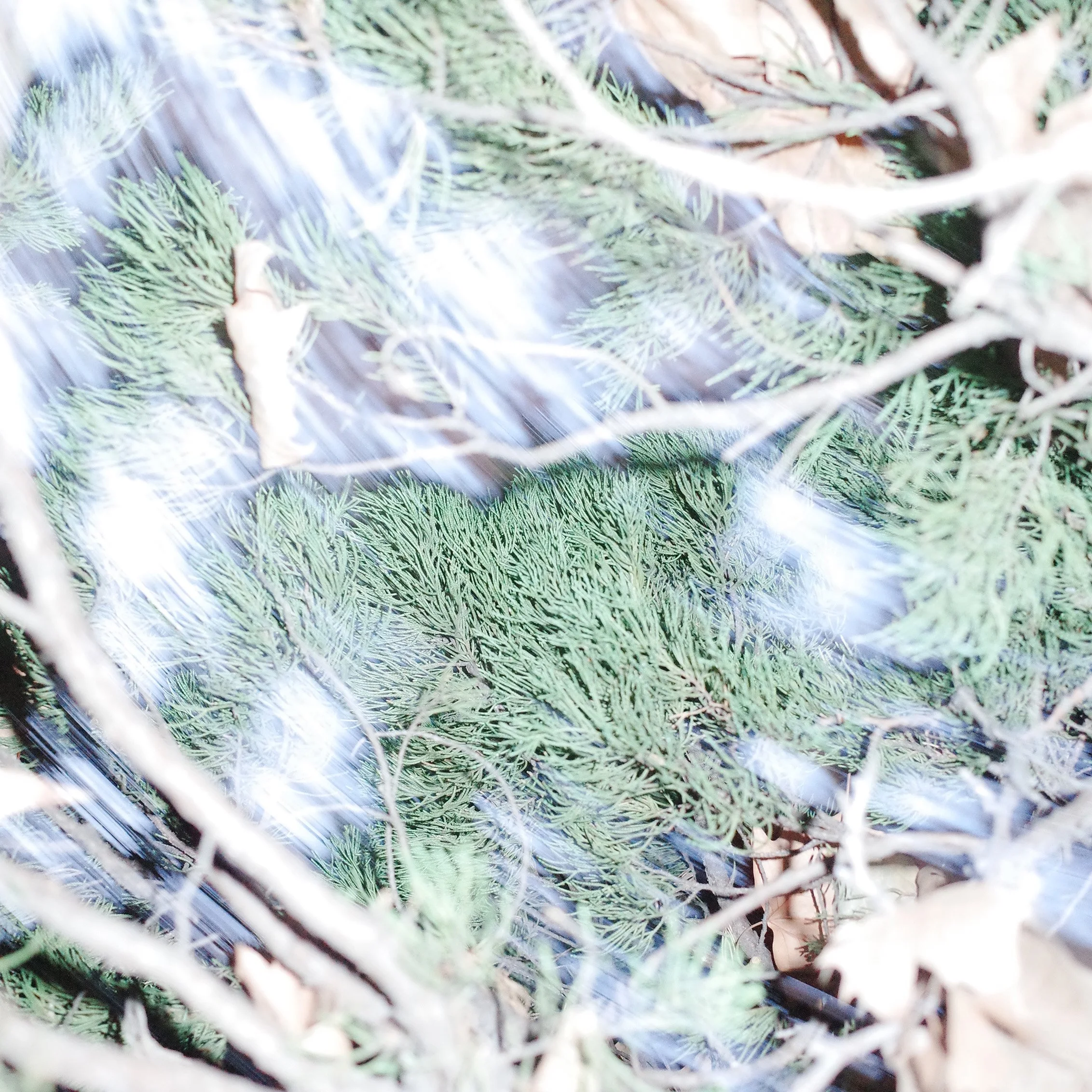 FOLDS 32, Photography Series, 2025 ©Naiyue Zhang.JPG