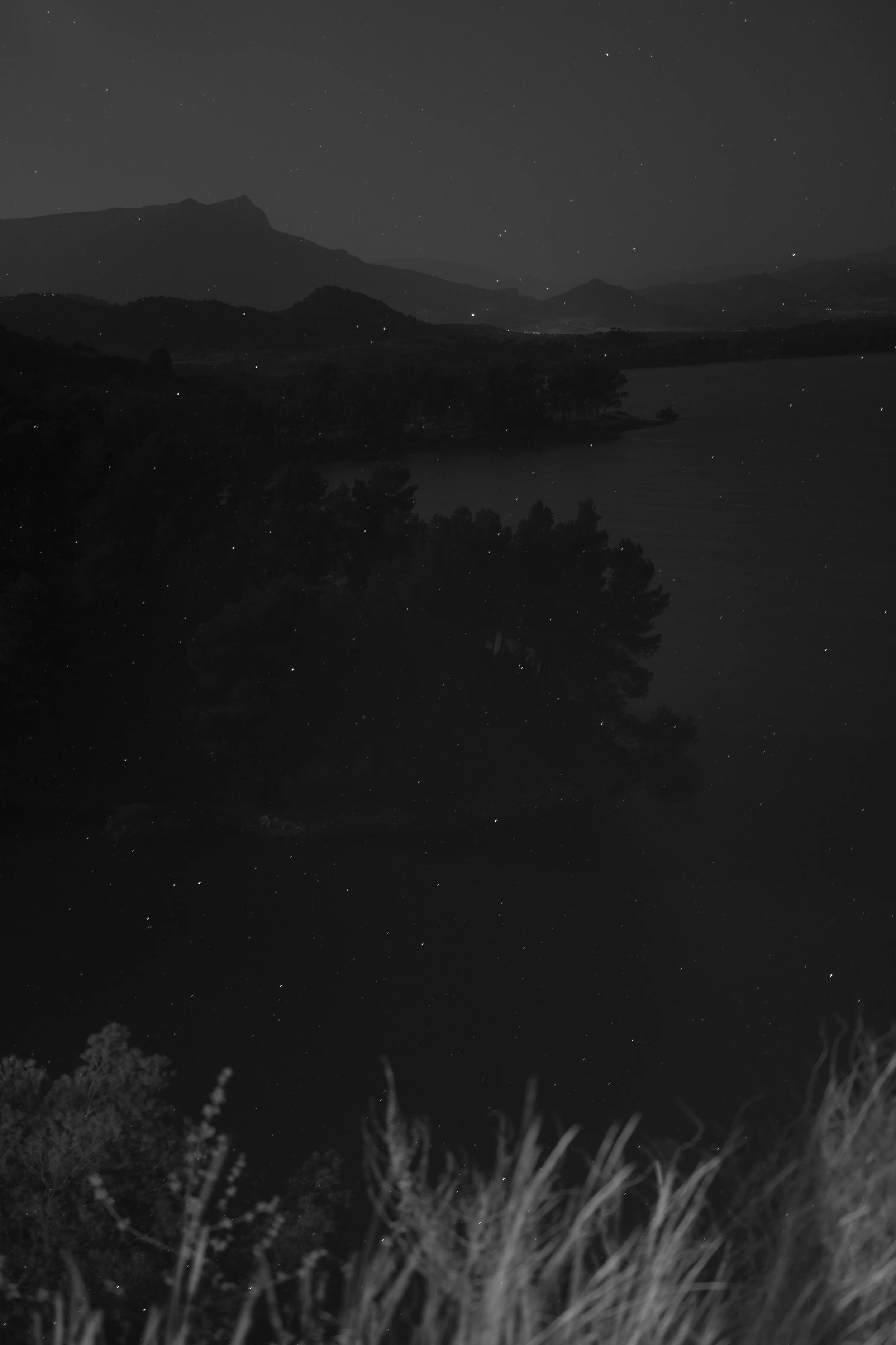 𝕲𝖗𝖆𝖉𝖎𝖊𝖓𝖙 𝕷𝖔𝖘𝖘 12 June 2025 00.16.jpg