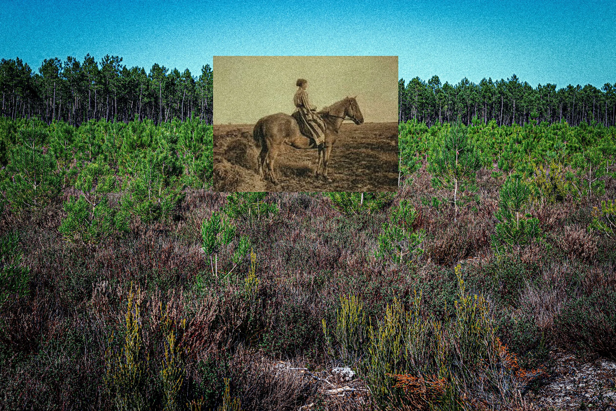 jeunes plans_cavalère-traité-974  copie.jpg