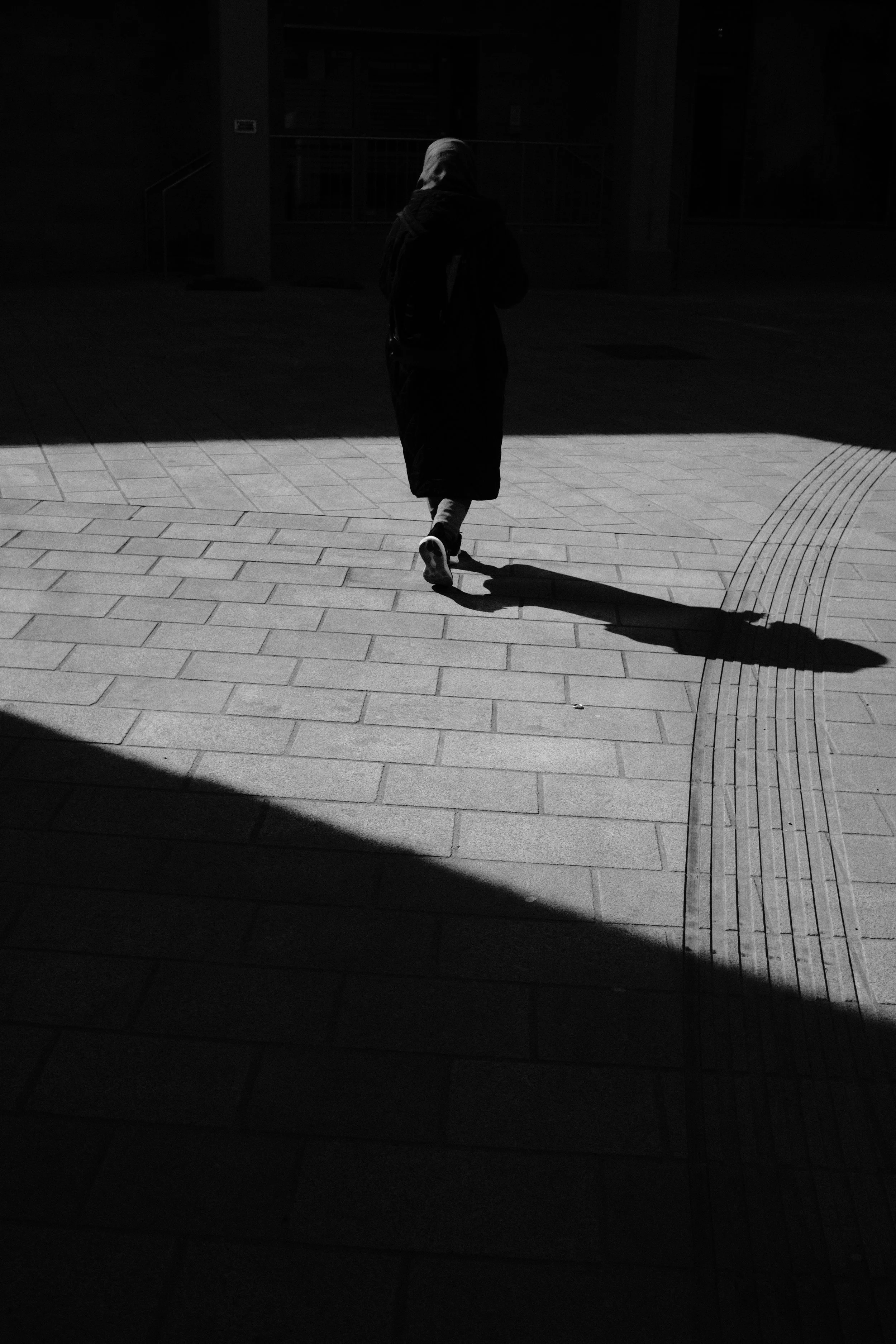 Walking in the Shadow 3_by Jessica Leopold.jpeg