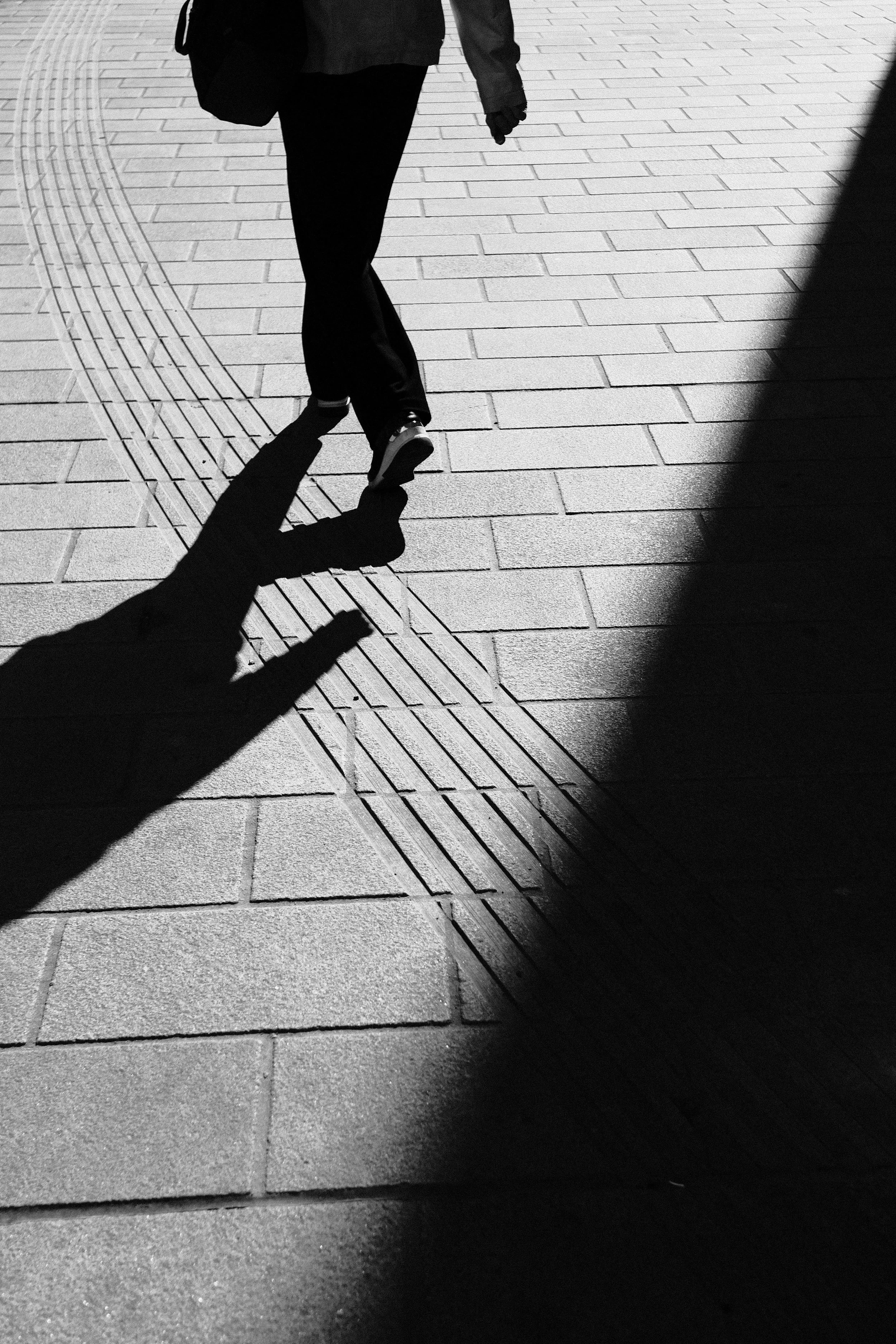Walking in the Shadow 2_by Jessica Leopold.jpeg
