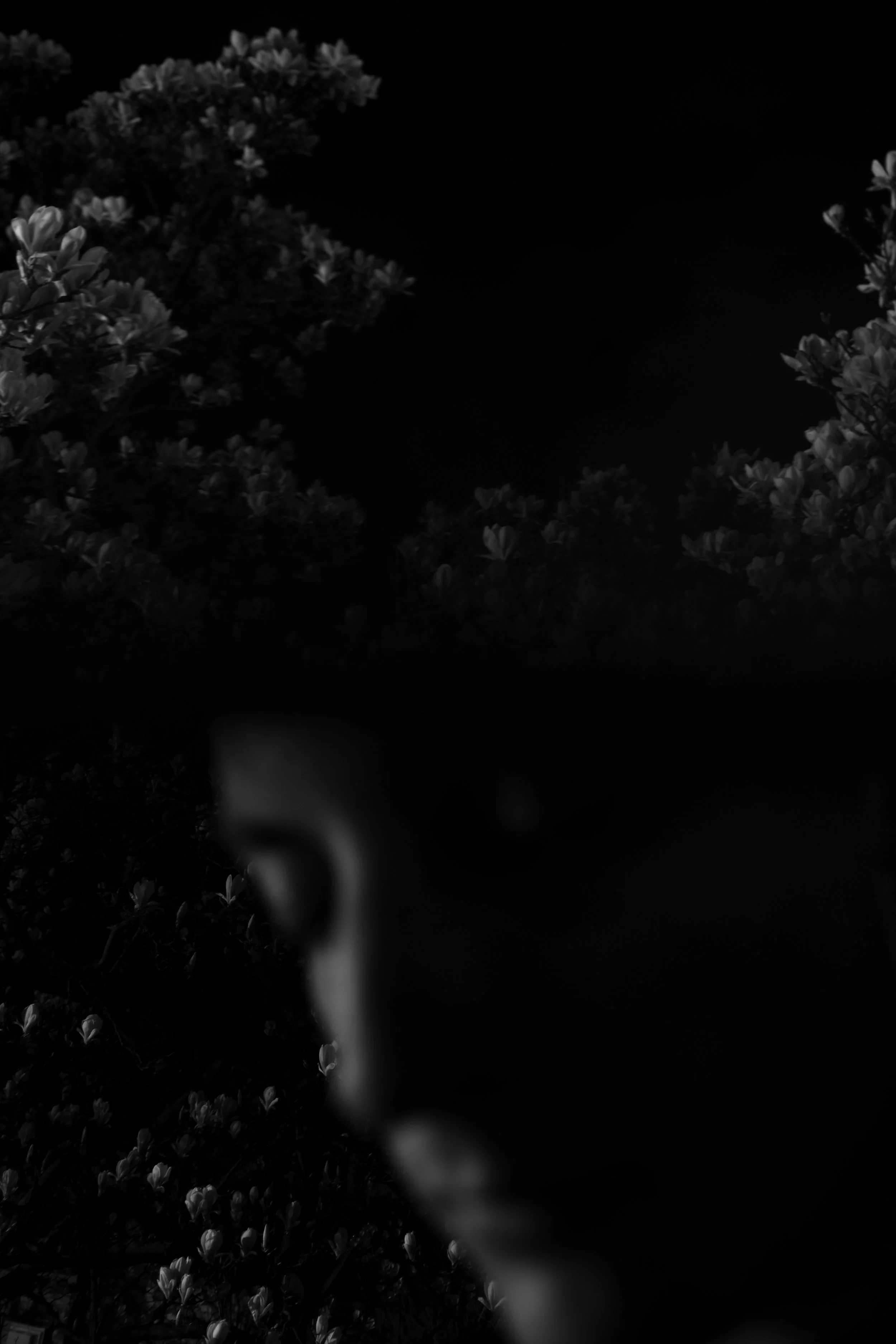 𝕲𝖗𝖆𝖉𝖎𝖊𝖓𝖙 𝕷𝖔𝖘𝖘 23 March 2025 00.37.jpg