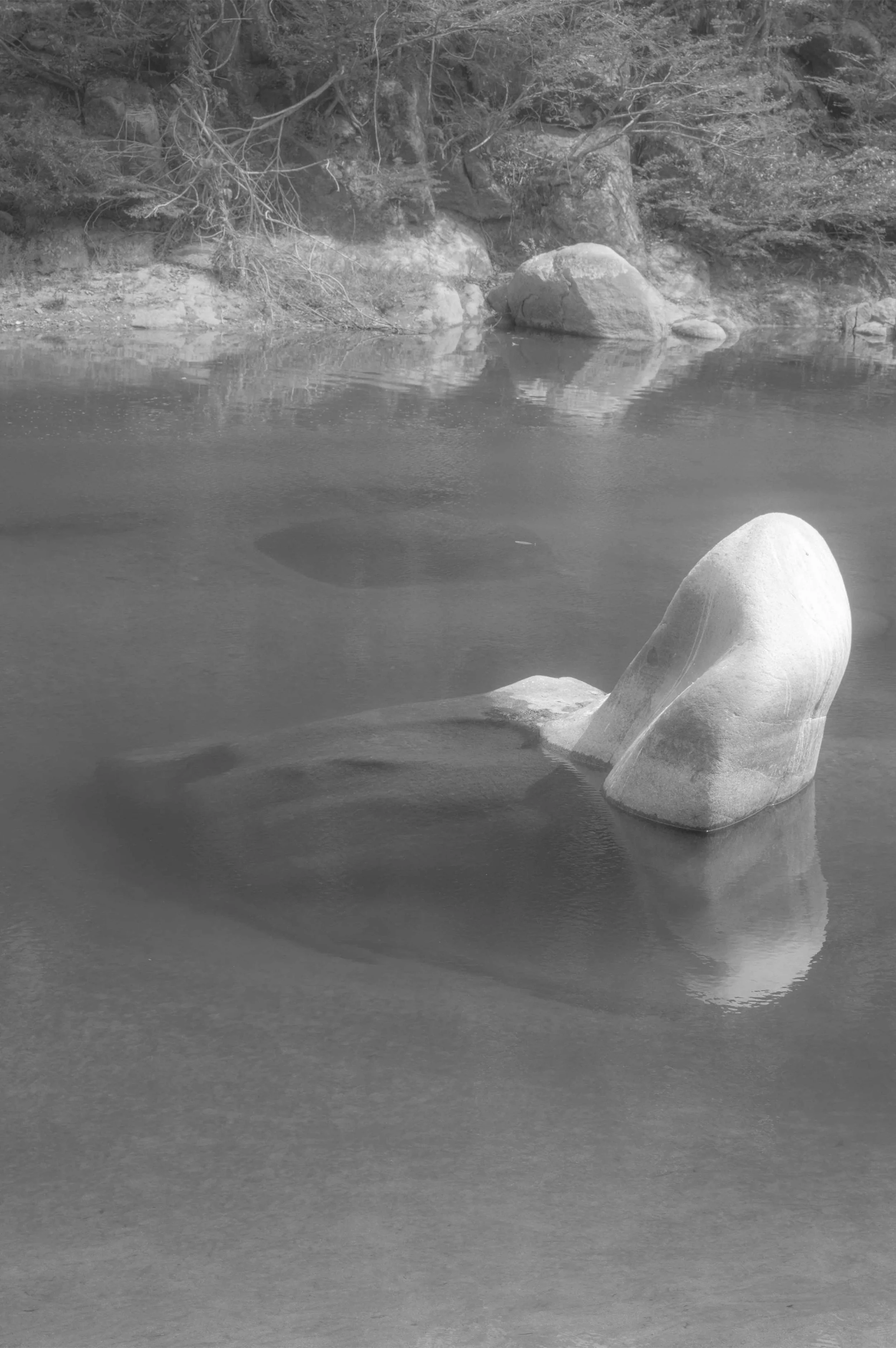 EntreChienEtLoup_13.jpg