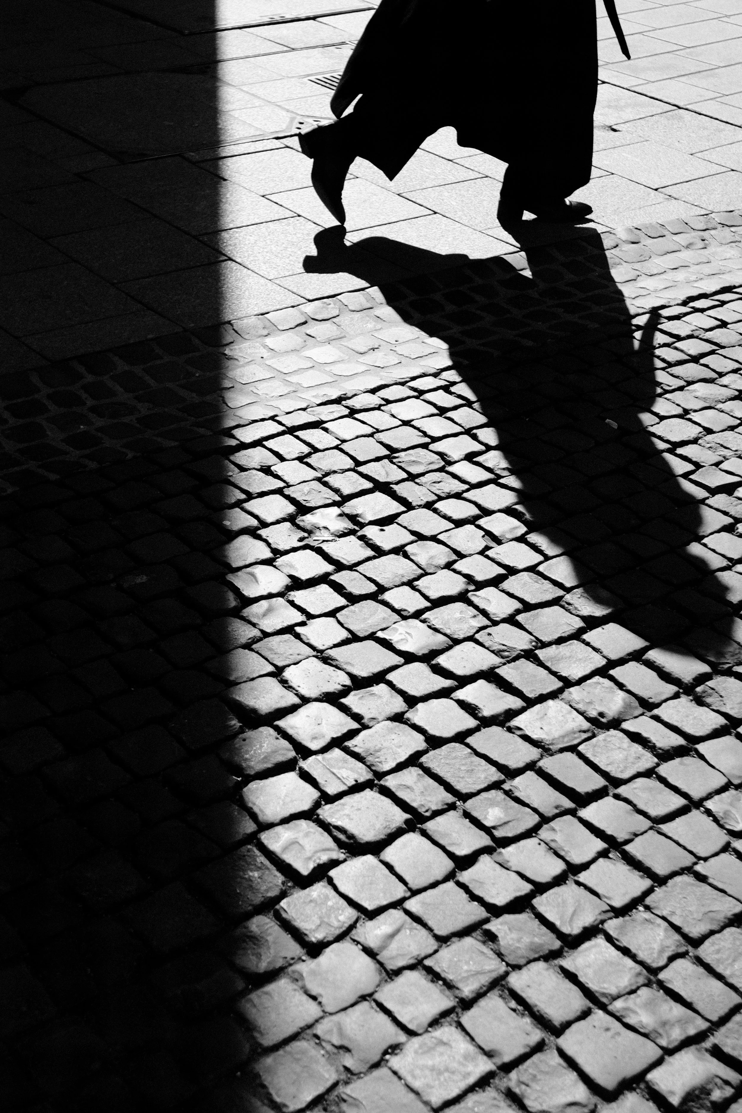 Walking in the Shadow 1_by Jessica Leopold.jpeg