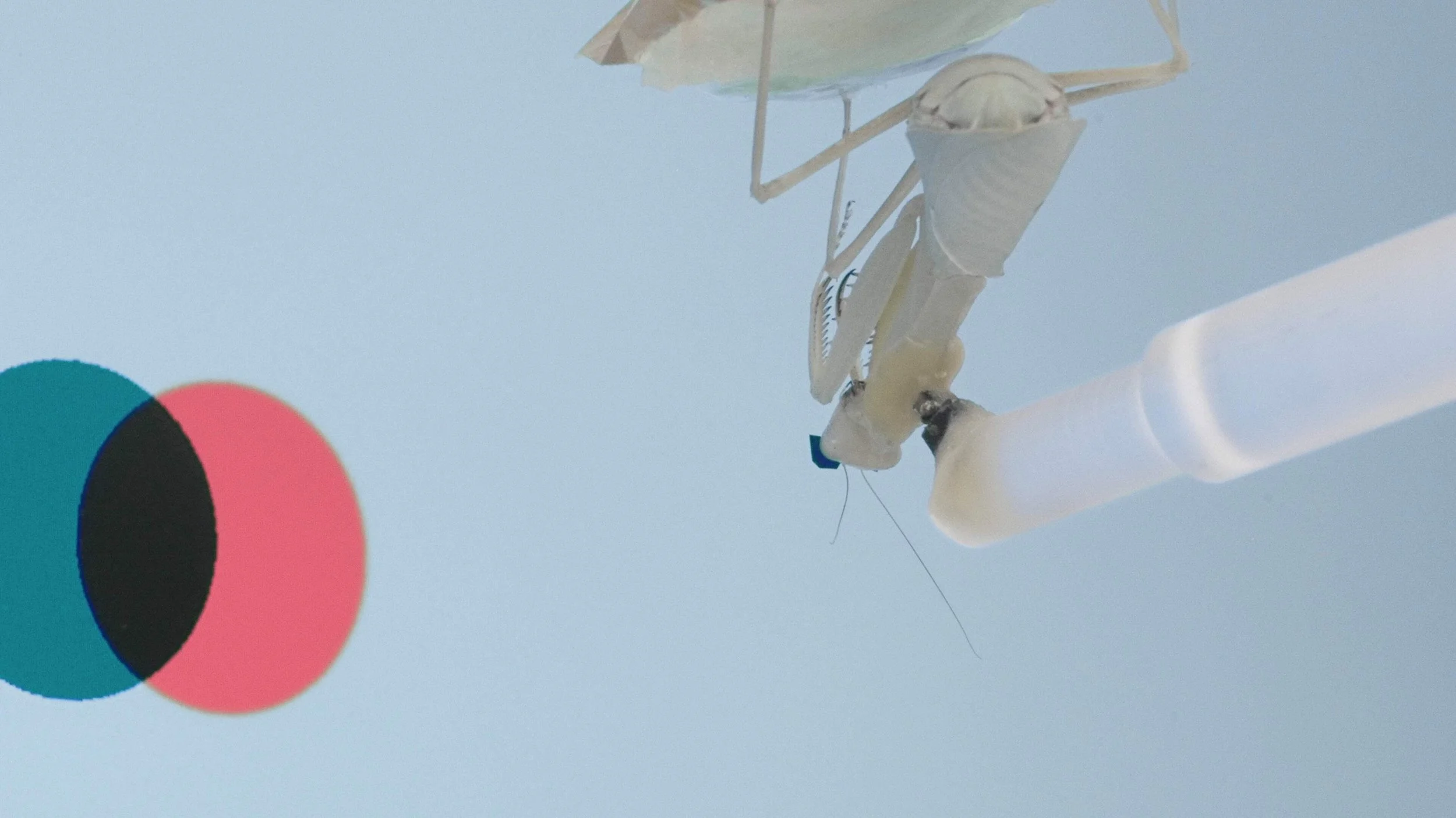 Warnungen an die ferne Zukunft