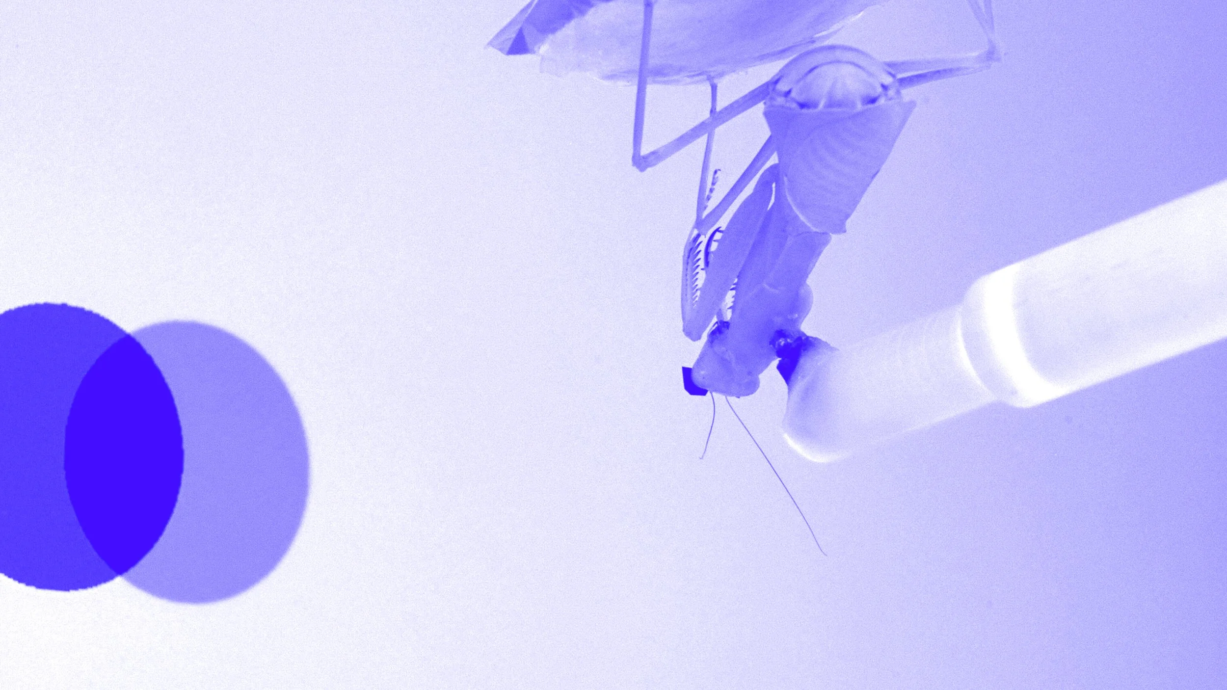 Warnungen an die ferne Zukunft