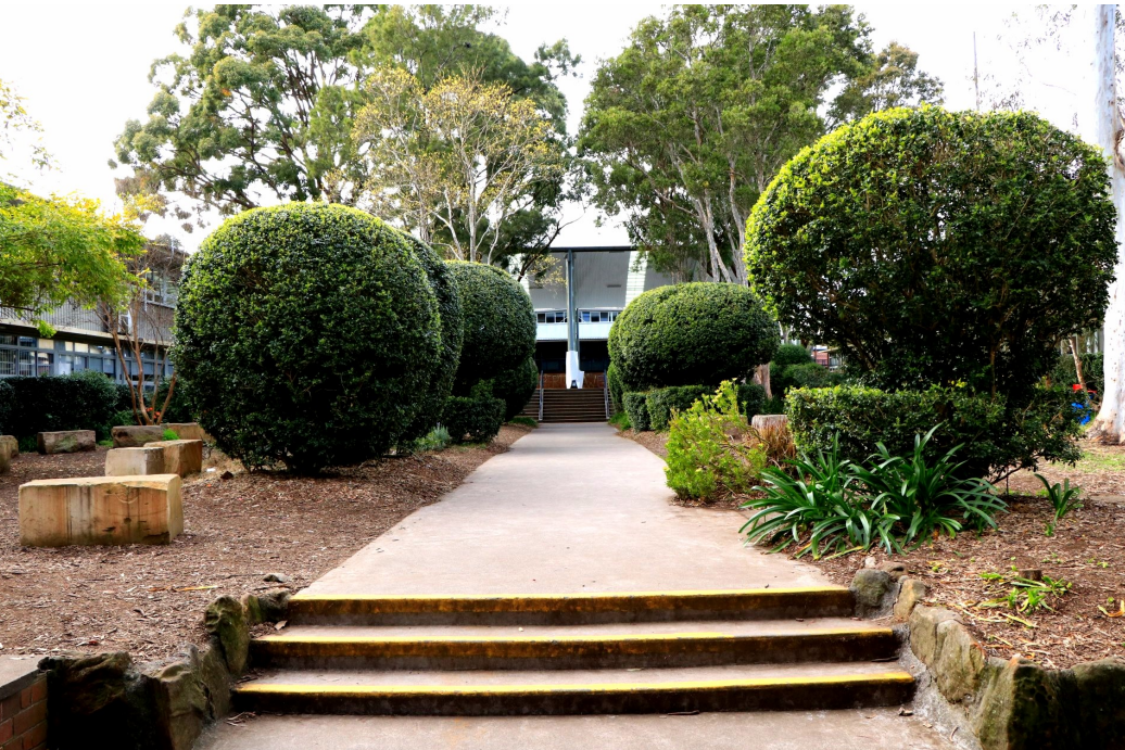 Castle Hill High School.png