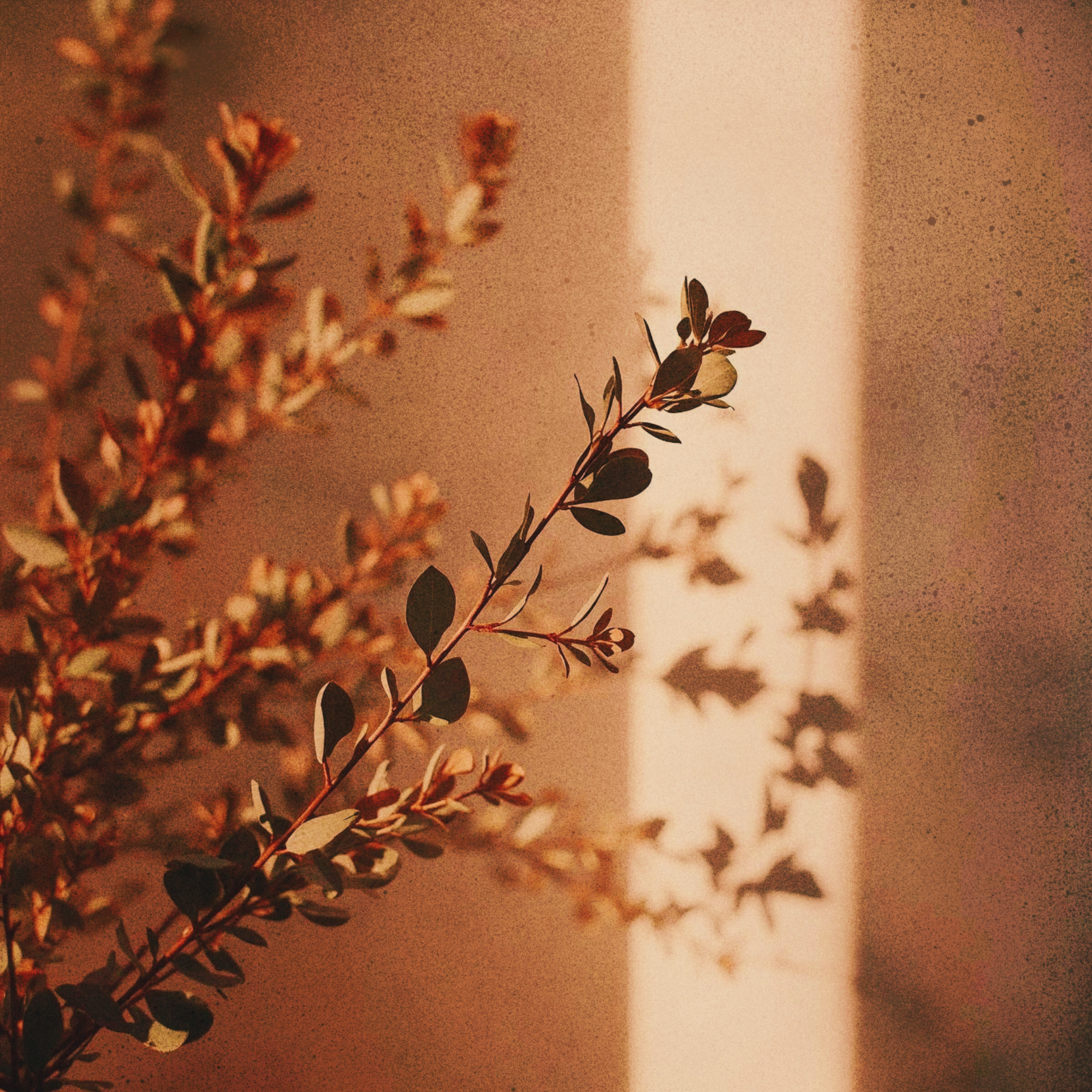 Jahreszeit für Jahreszeit