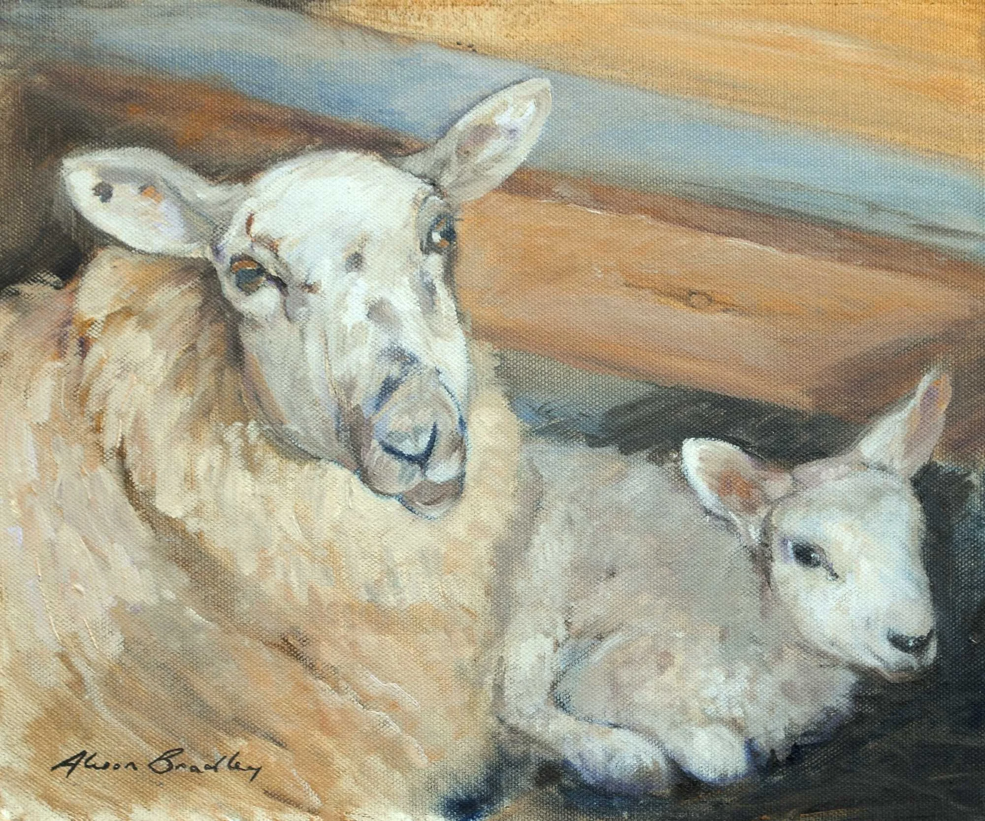 ewe with lamb