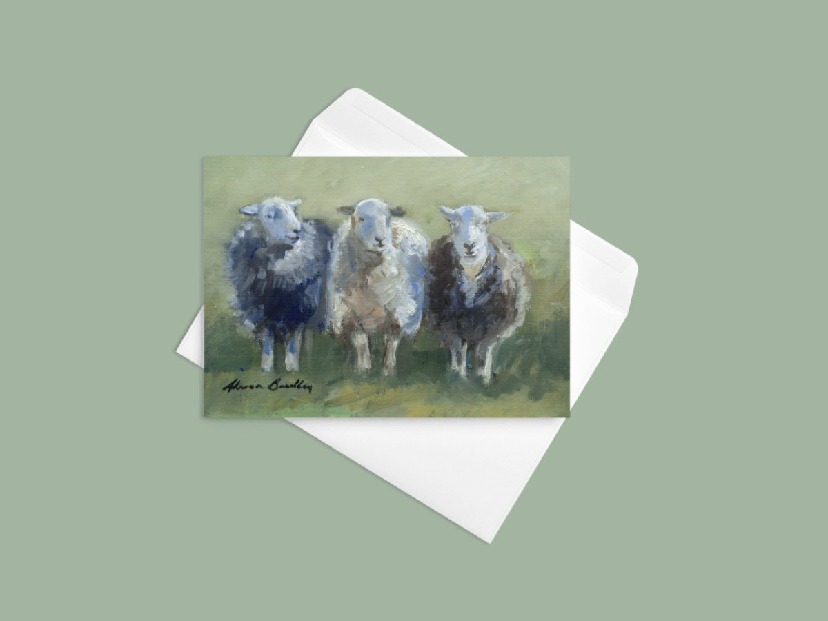 3 Herdwicks