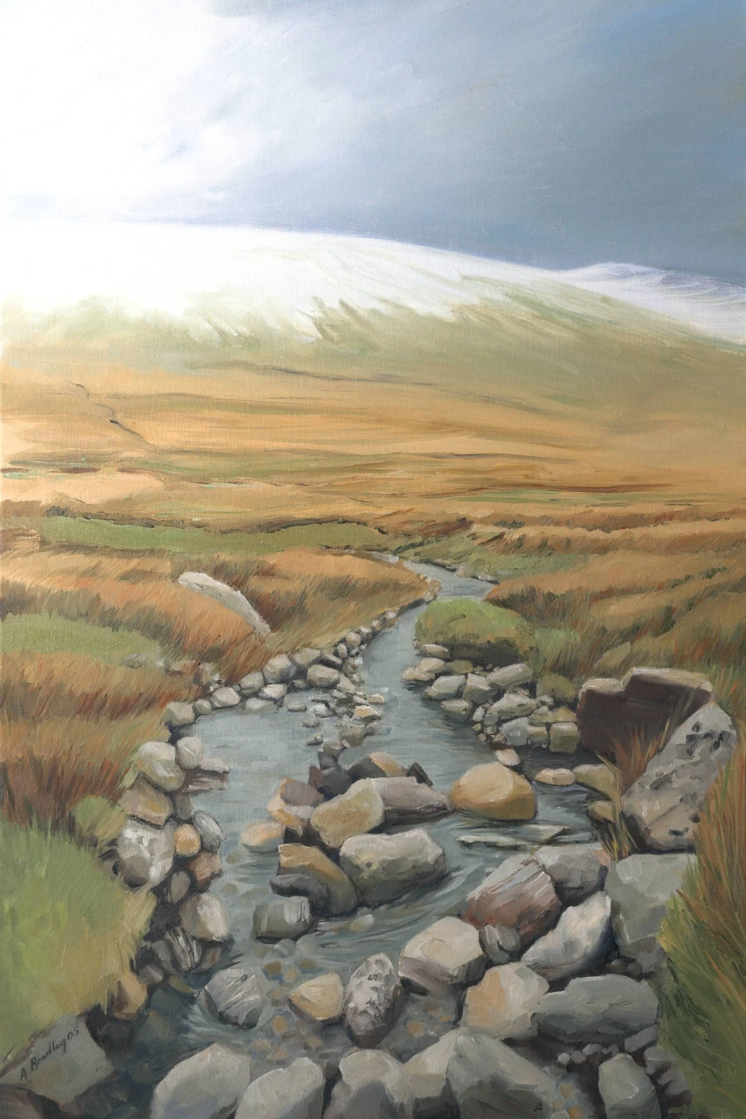 mountain stream in snowdonia